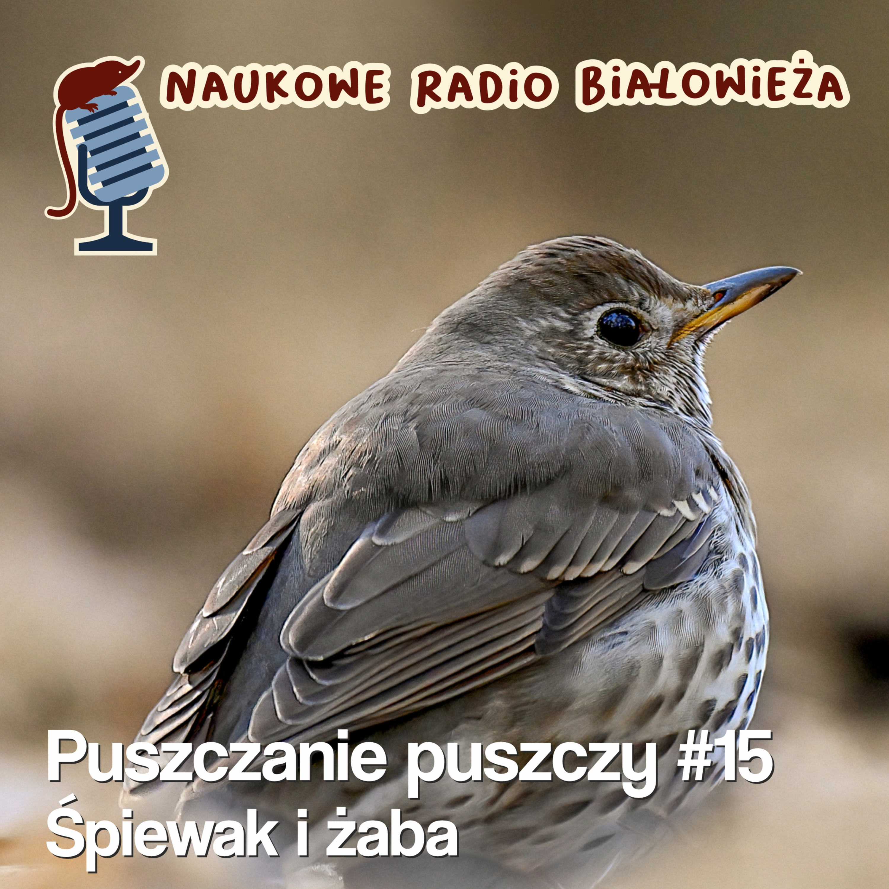 Naukowe Radio Białowieża