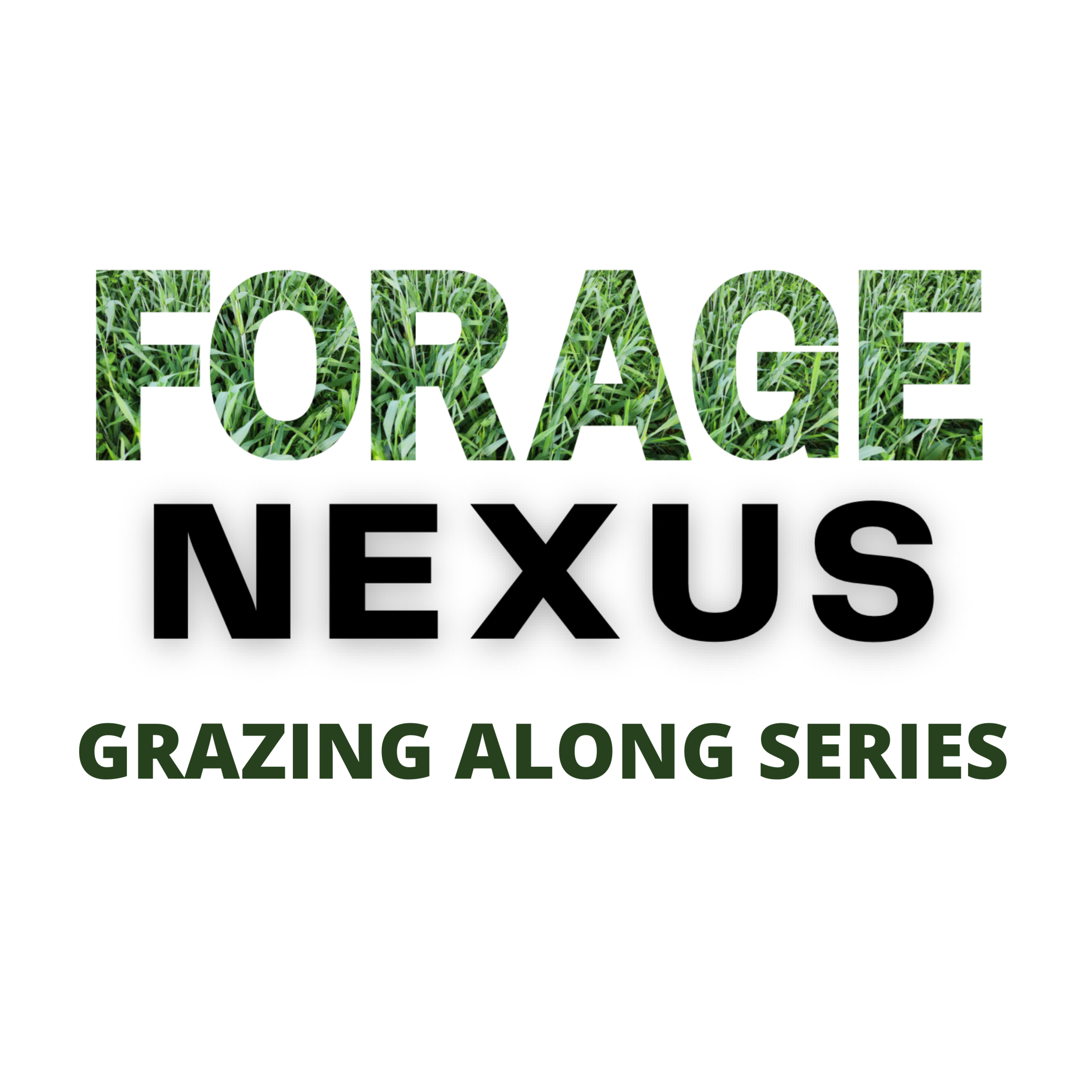 Forage Nexus: Grazing Along Series - Dr. Lynn Sollenberger episode artwork