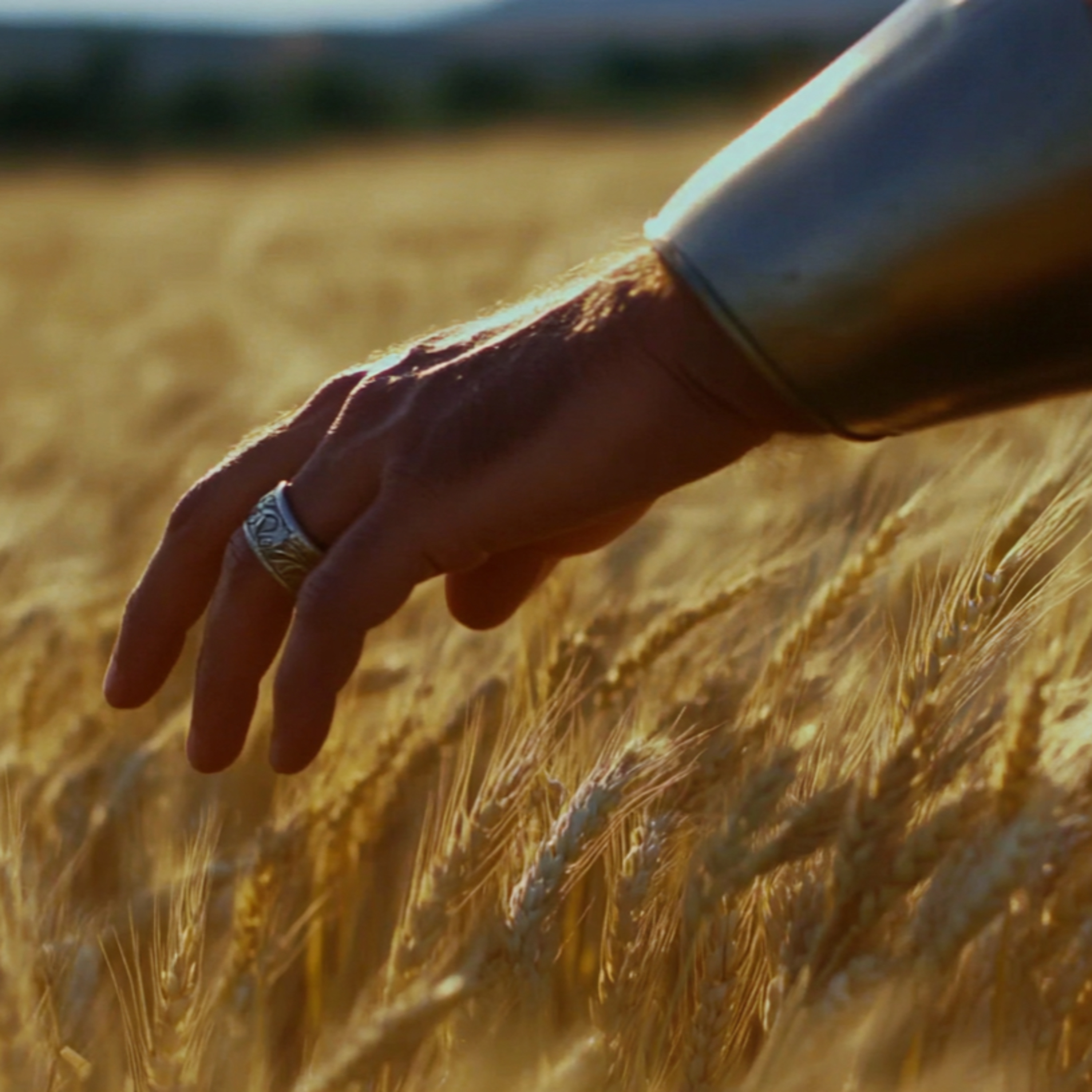 La Perspective Stoïcienne
