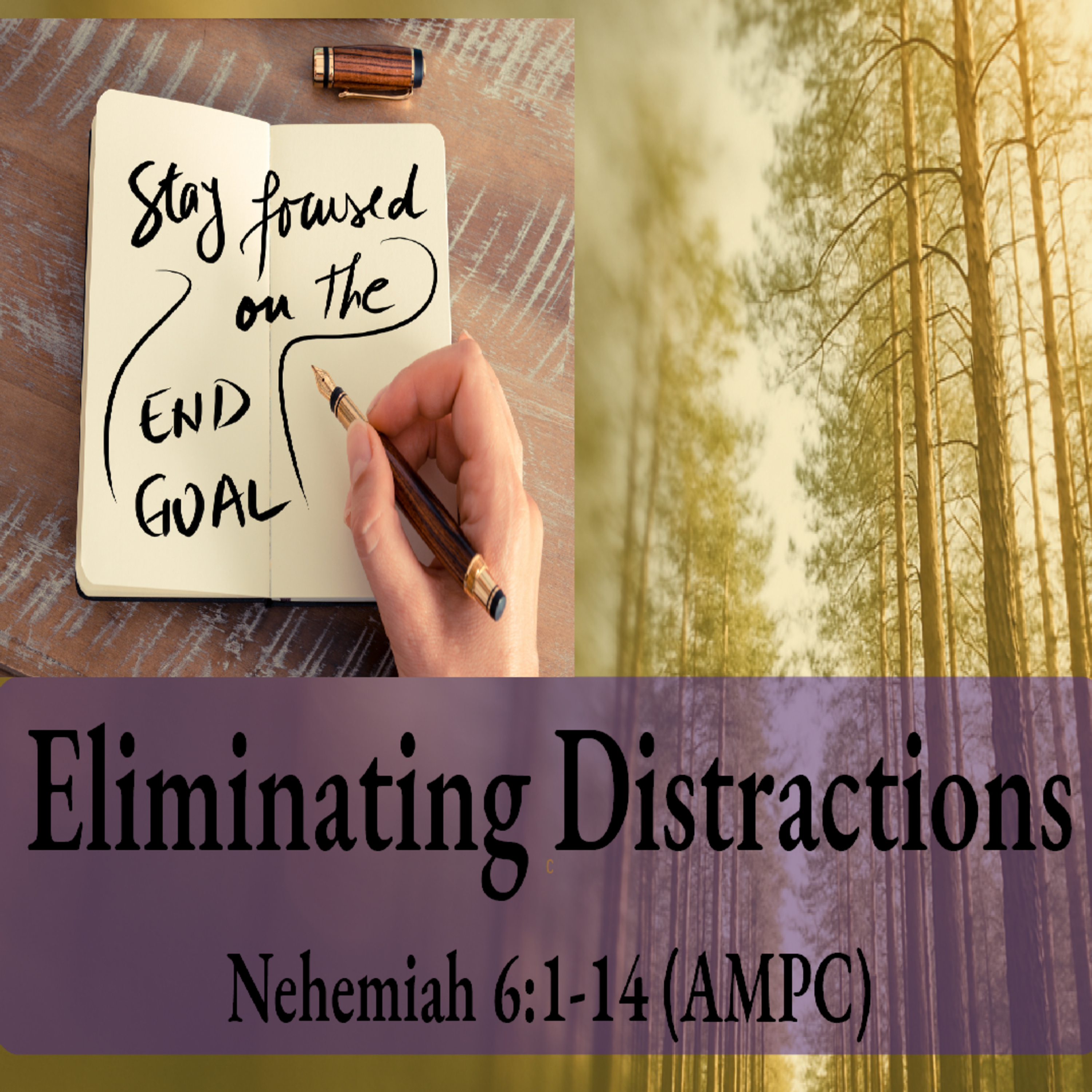 Eliminating Distractions - Pastor Harvey Carey episode artwork