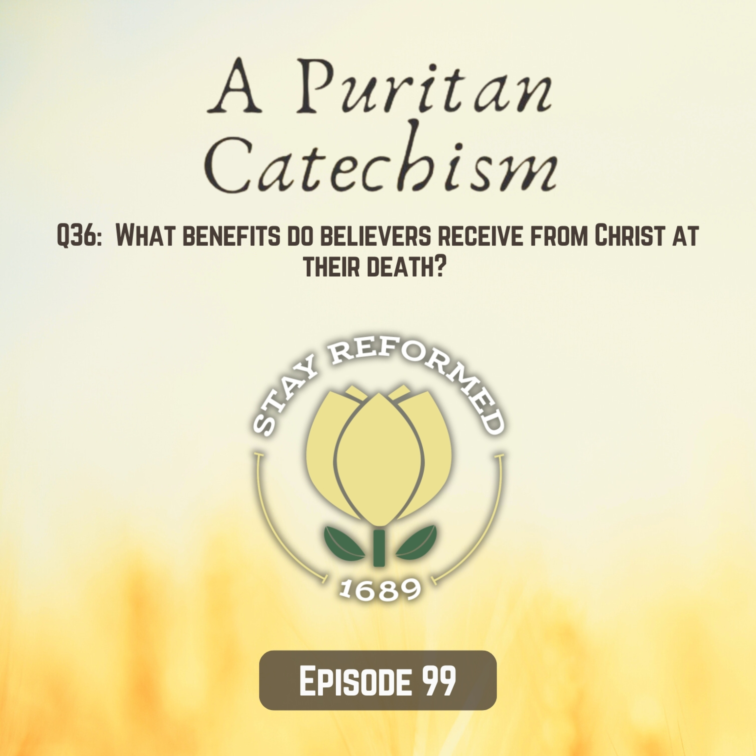 Episode 99: What Benefits Do Believers Receive from Christ at Their Death?  episode artwork