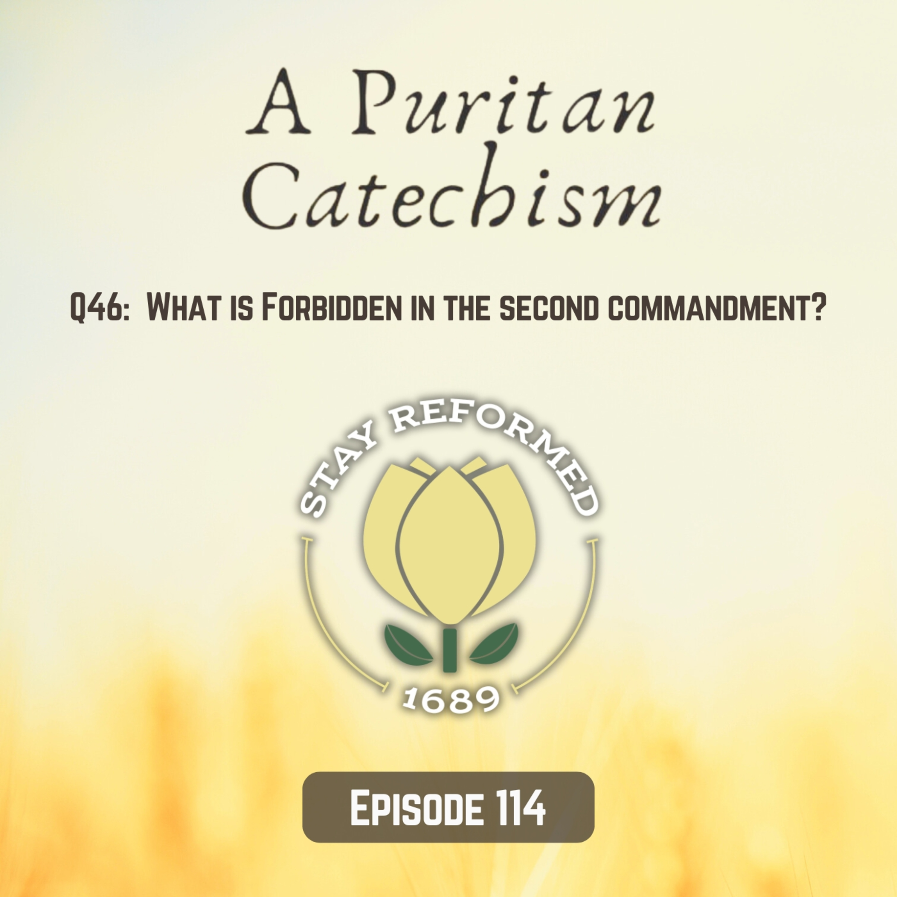 Episode 114: What is forbidden in the second commandment? episode artwork