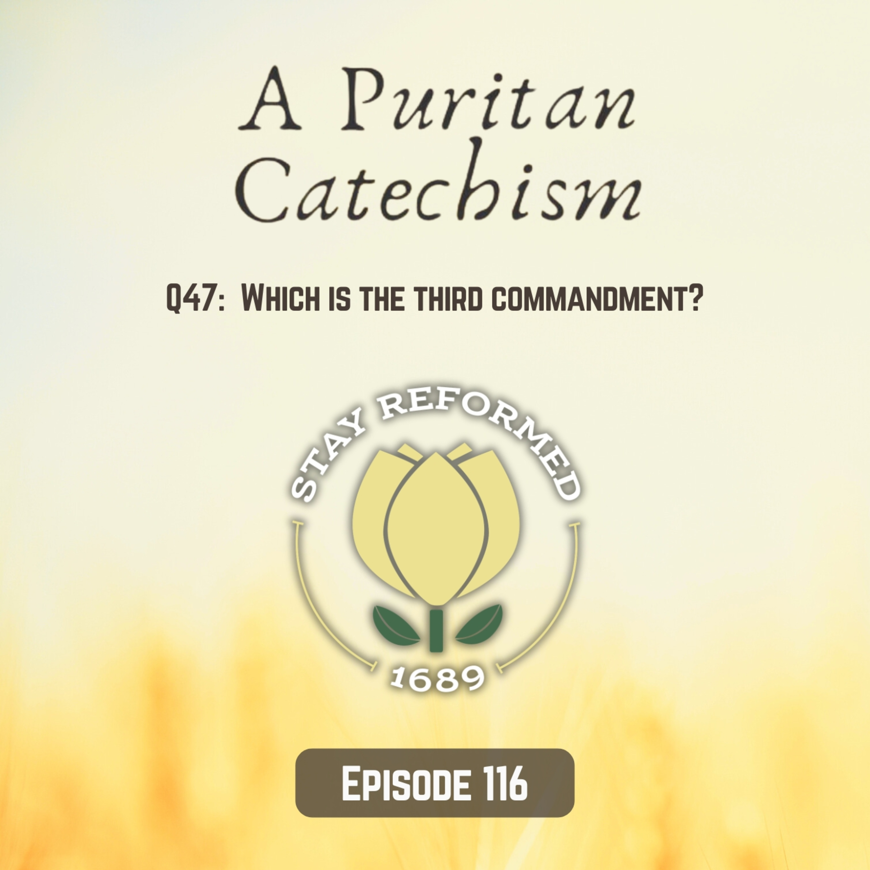 Episode 116: Which is the third commandment? episode artwork