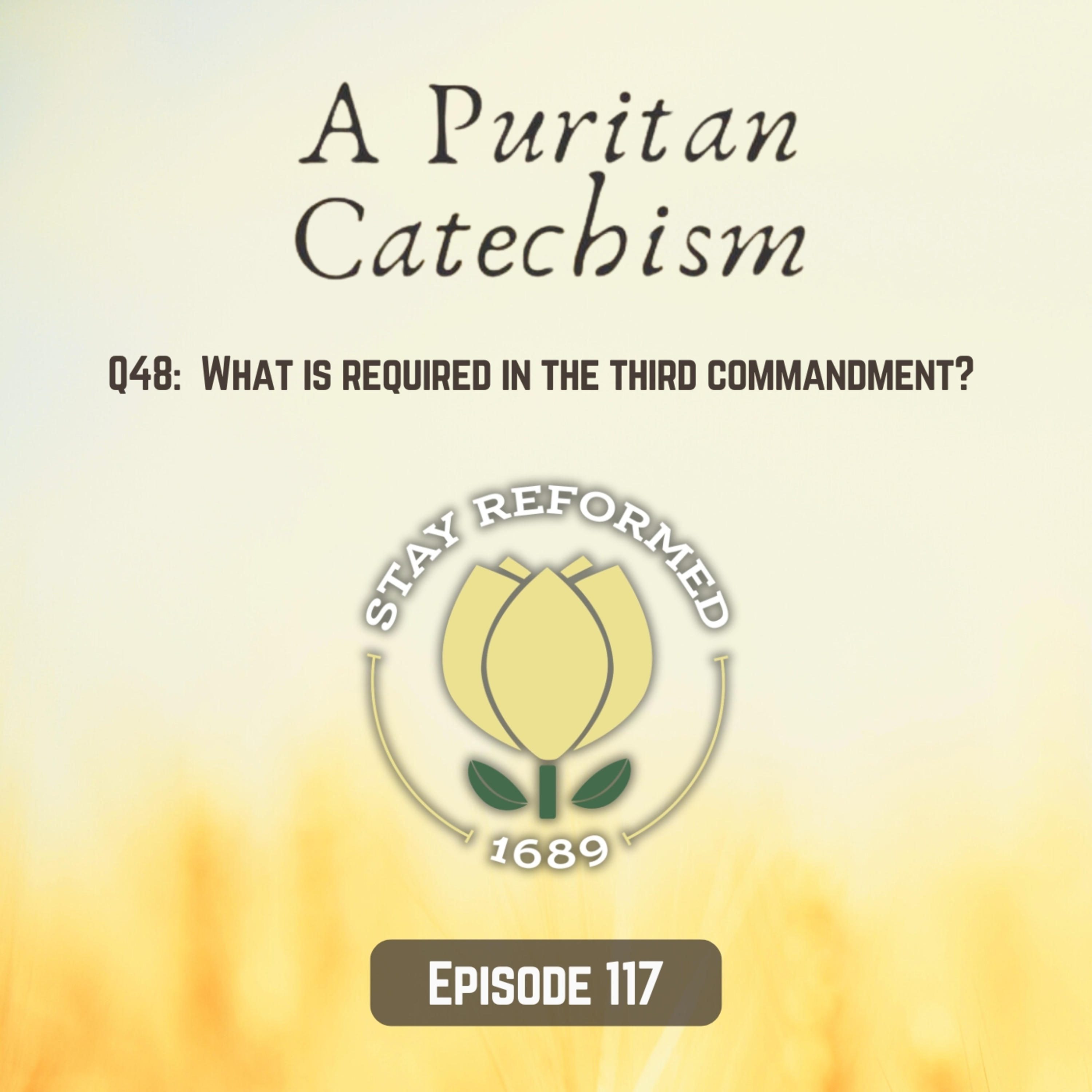 Episode 117: What is required in the third commandment? episode artwork