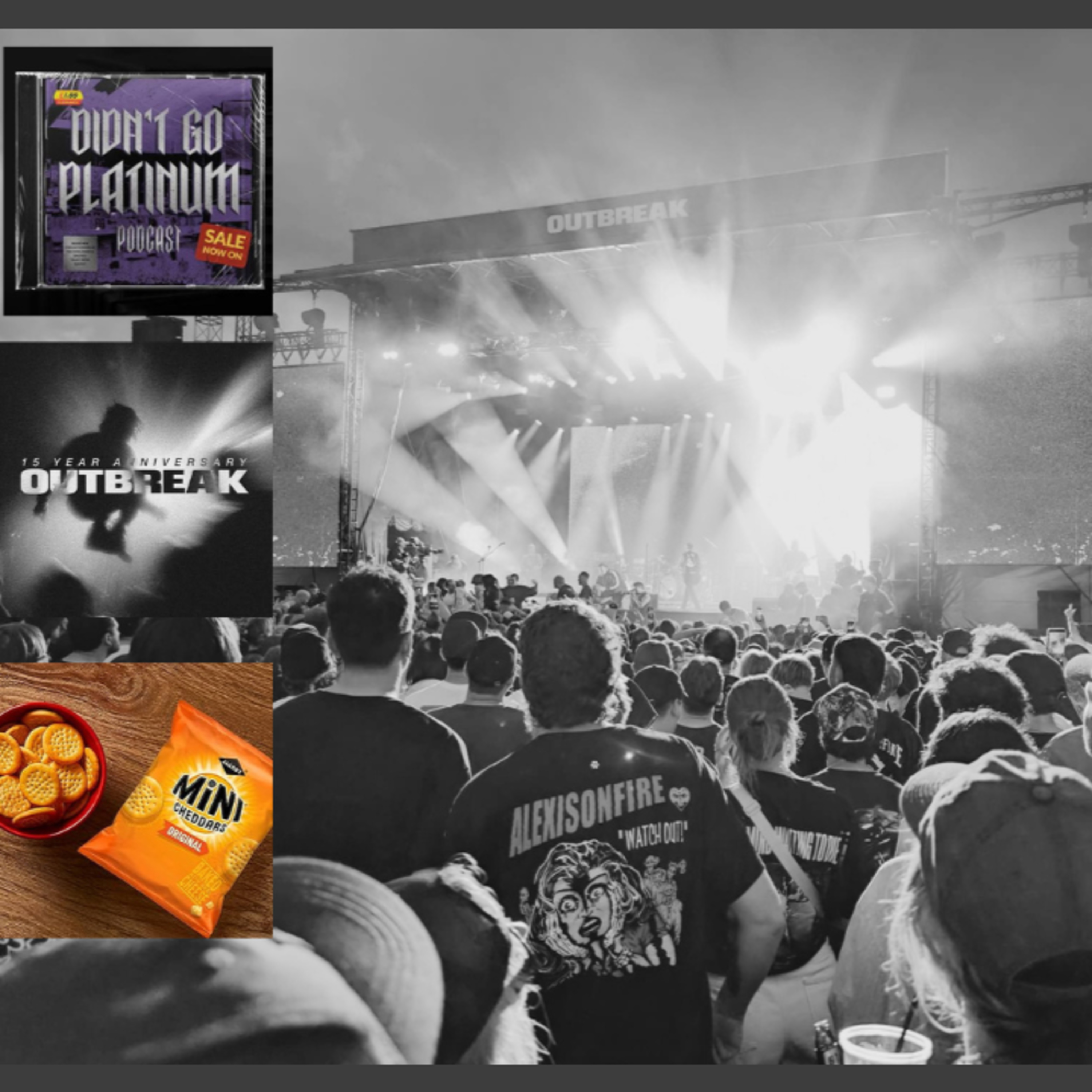 Bonus Episode: The Didn't Go Platinum Outbreak Festival Review episode artwork
