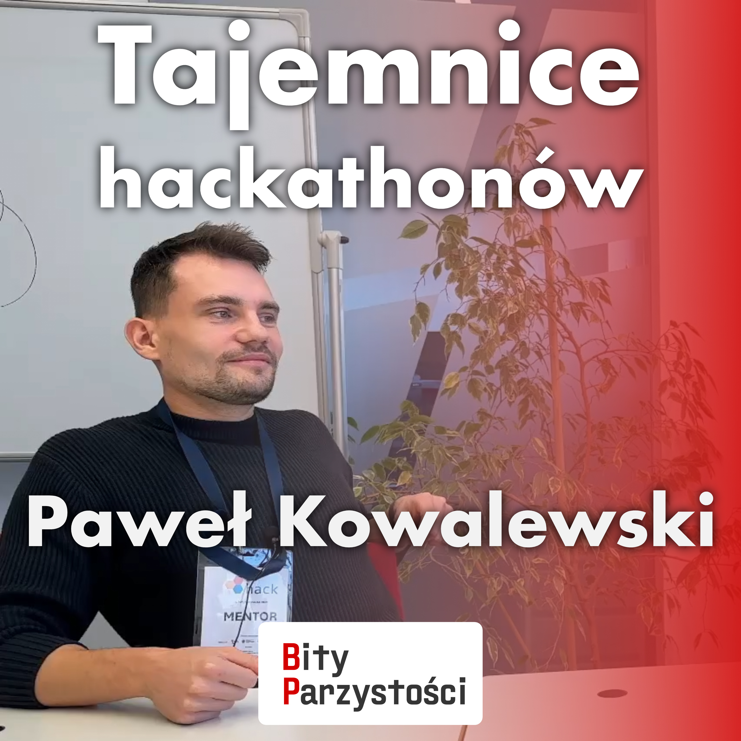 Bity Parzystości