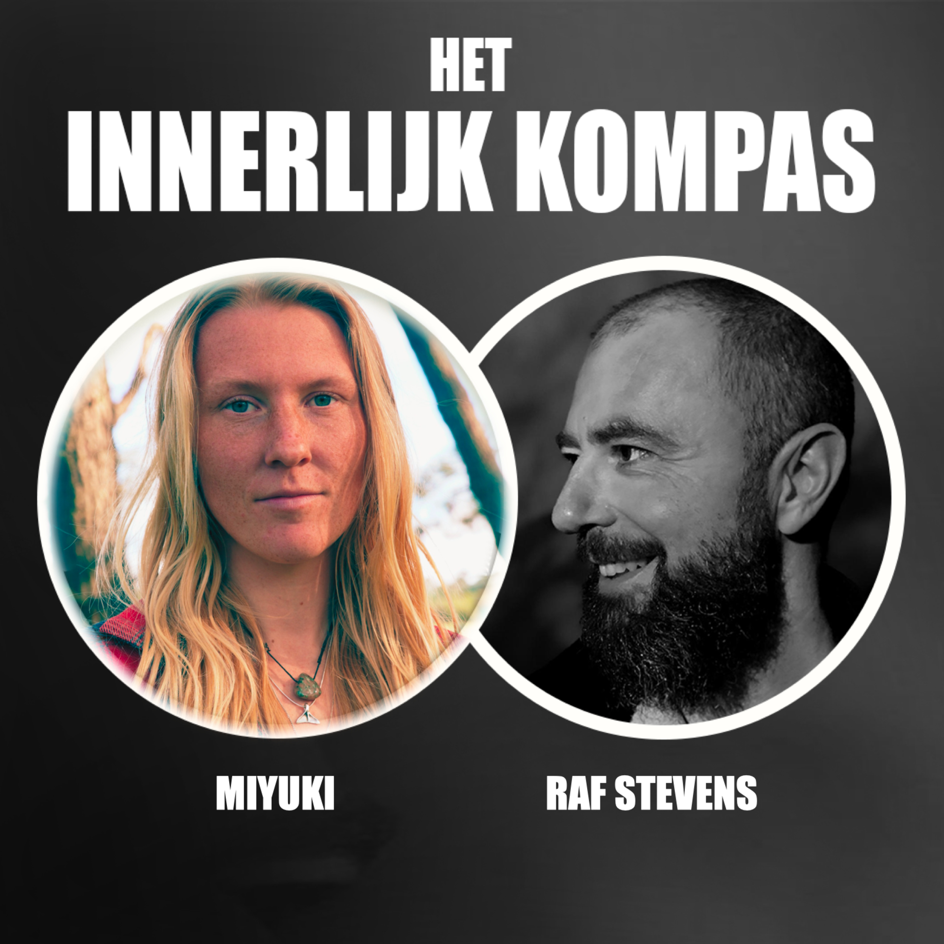 'Het is vooral op het moment dat het stil is, dat er iets komt'. episode artwork