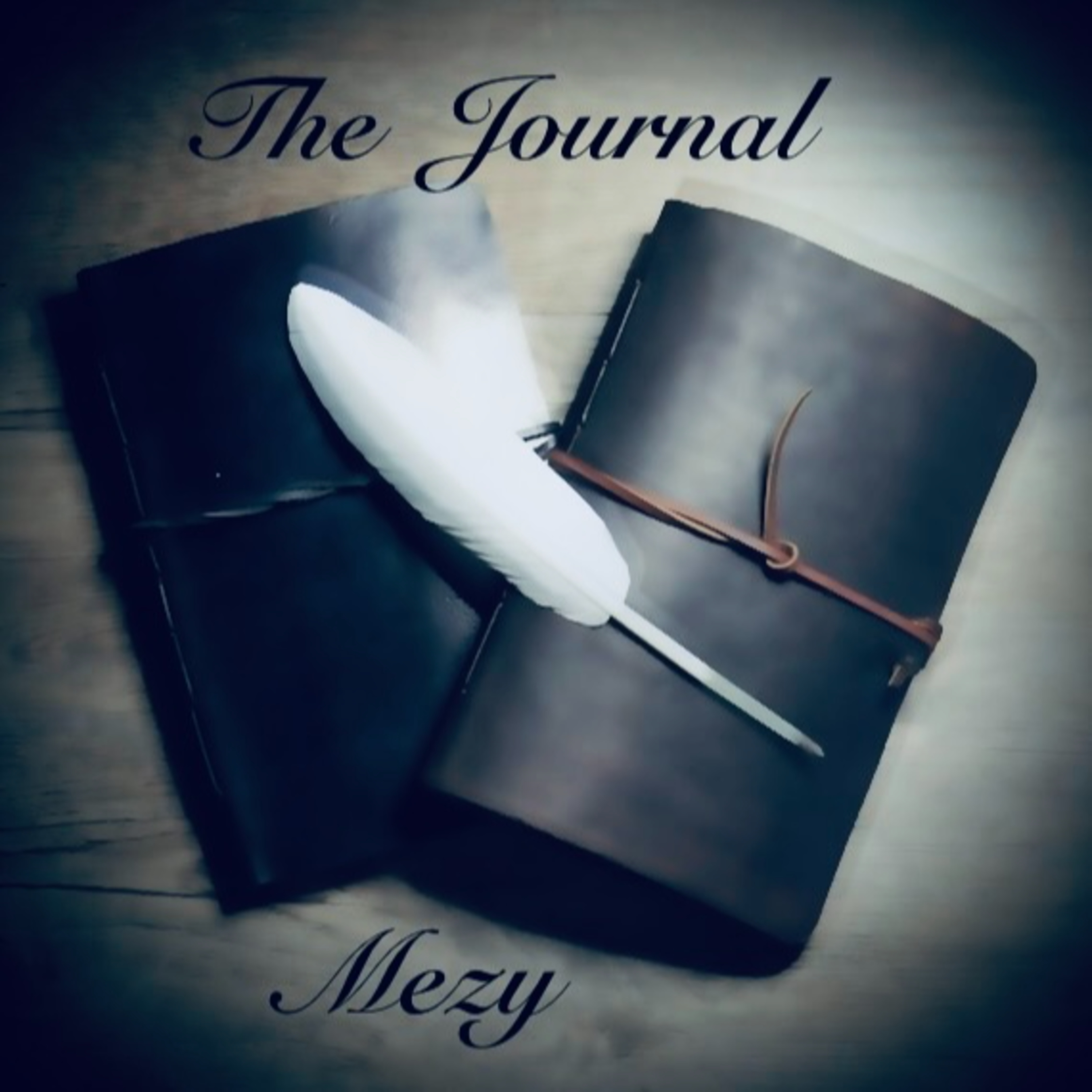 The Journal Ch. 2
