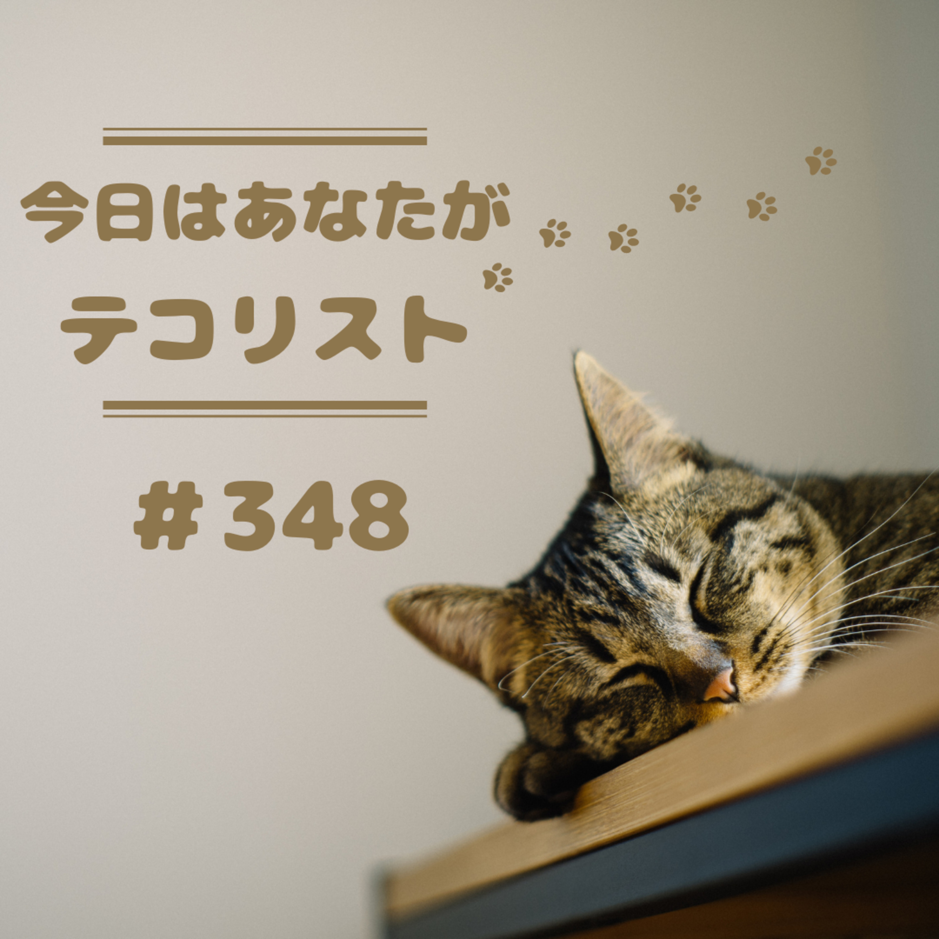 今日はあなたがテコリスト　＃348 episode artwork