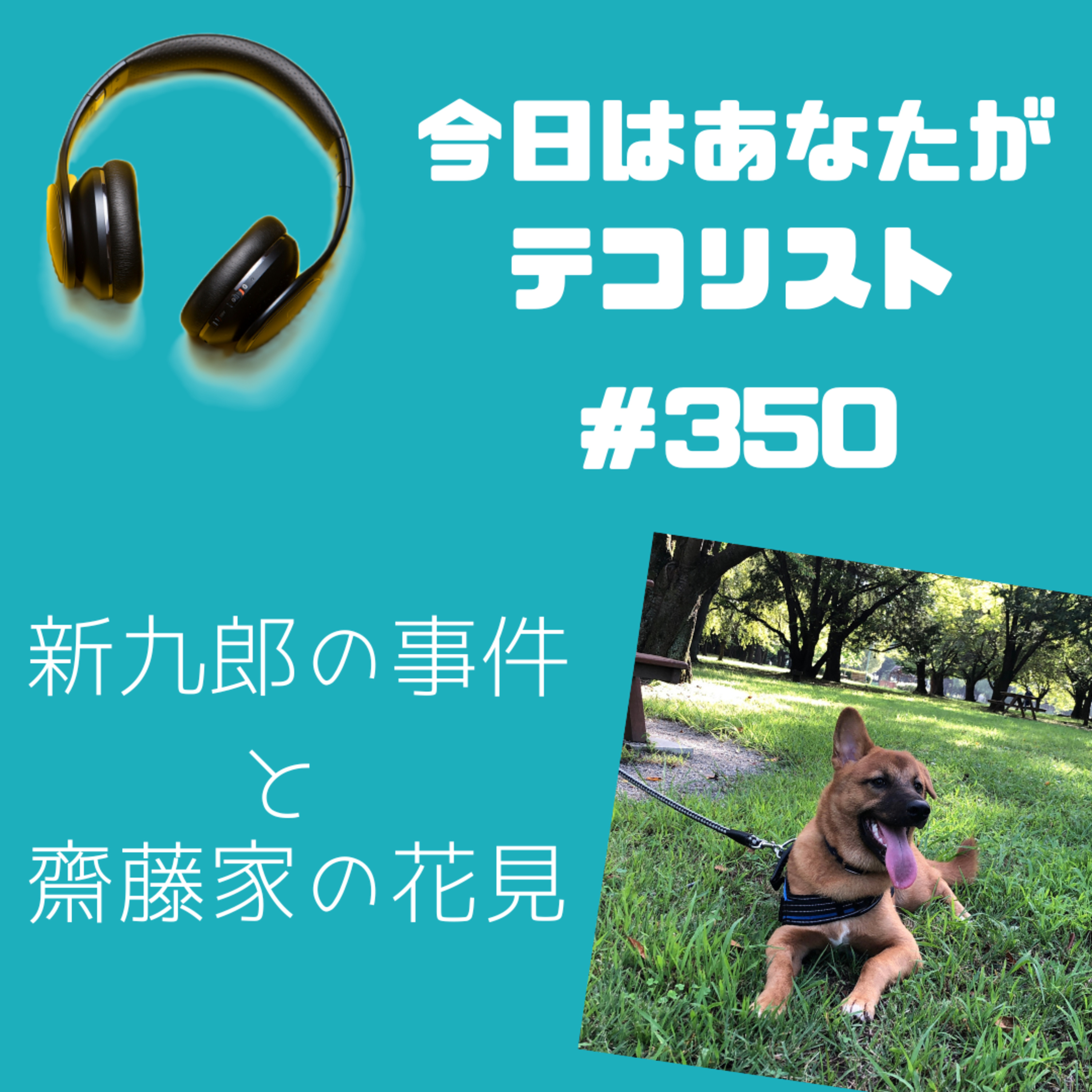#350　「新九郎、台所でイタズラする」「齋藤家のお花見」 episode artwork