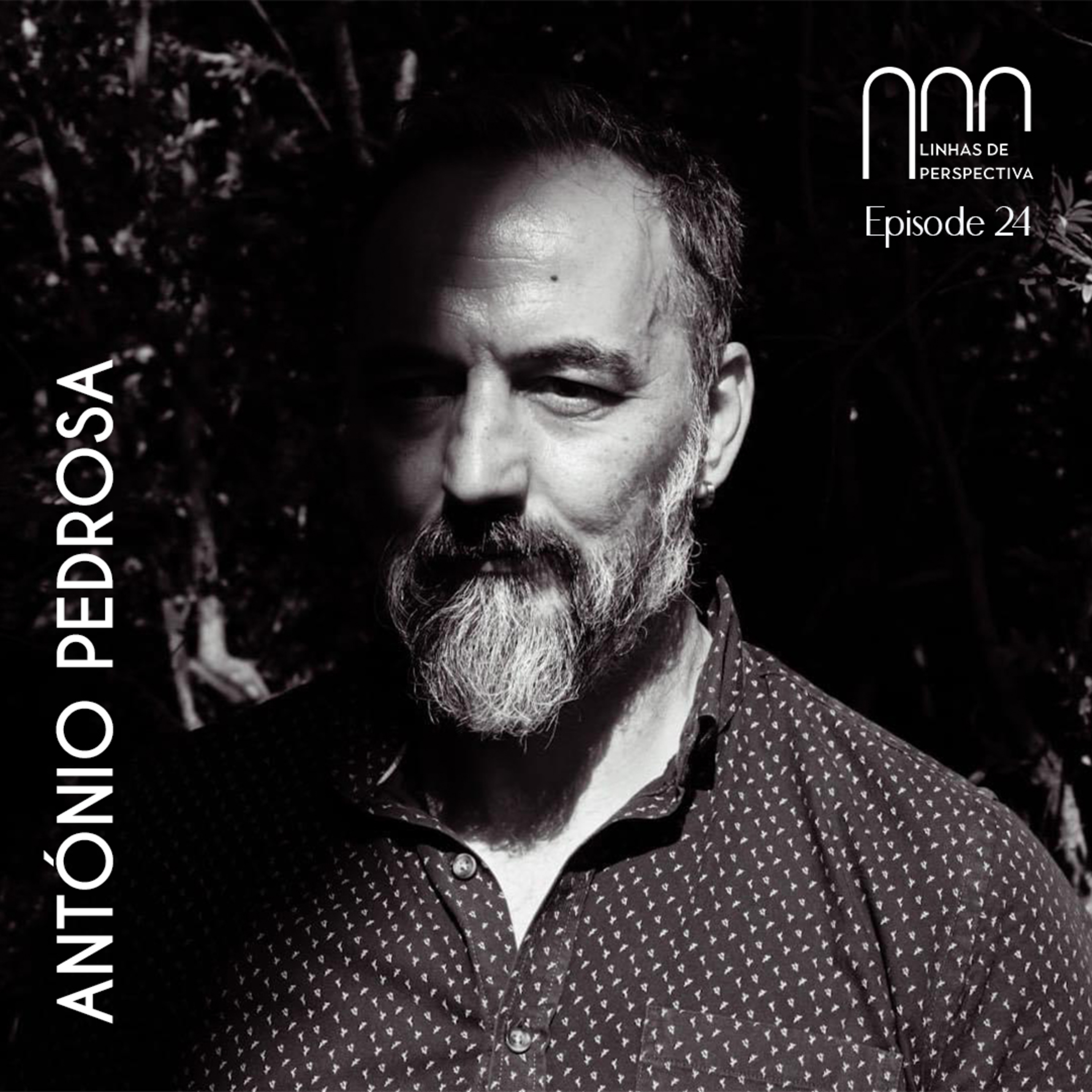 Linhas de perspectiva