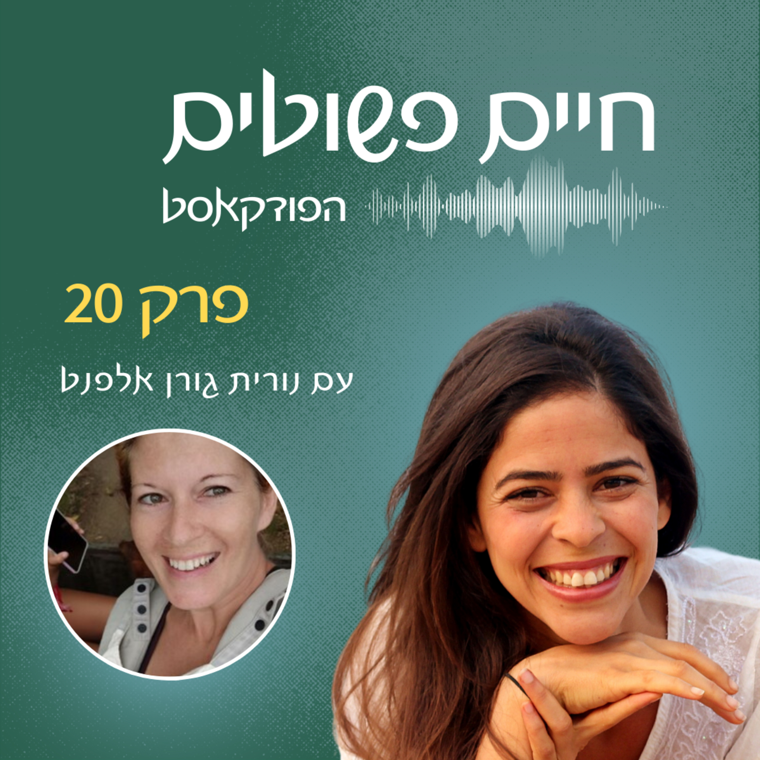 פרק 20: באר מים ולידה תחת כיפת השמיים – עם נורית גורן אלפט  episode artwork