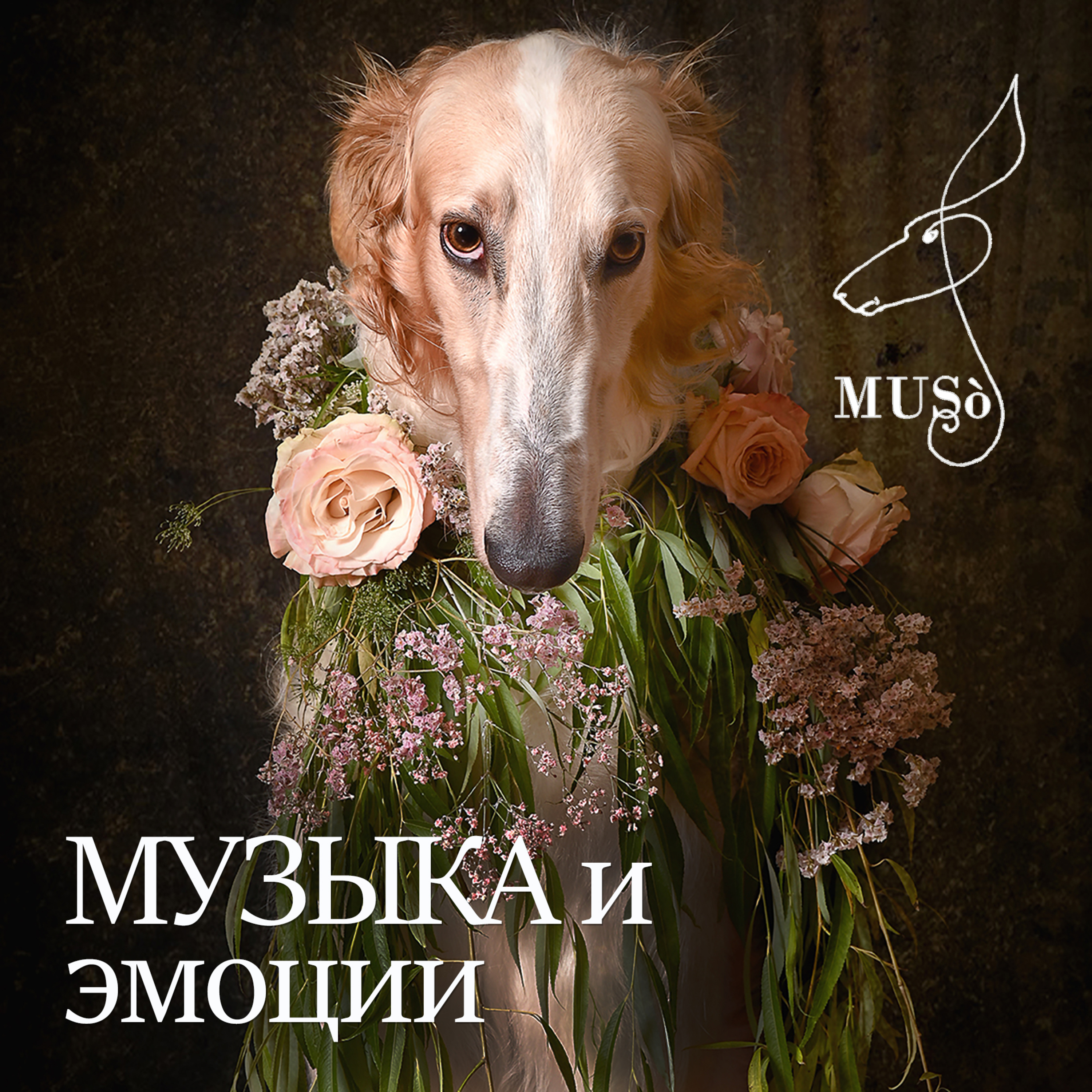 Музыка и эмоции episode artwork