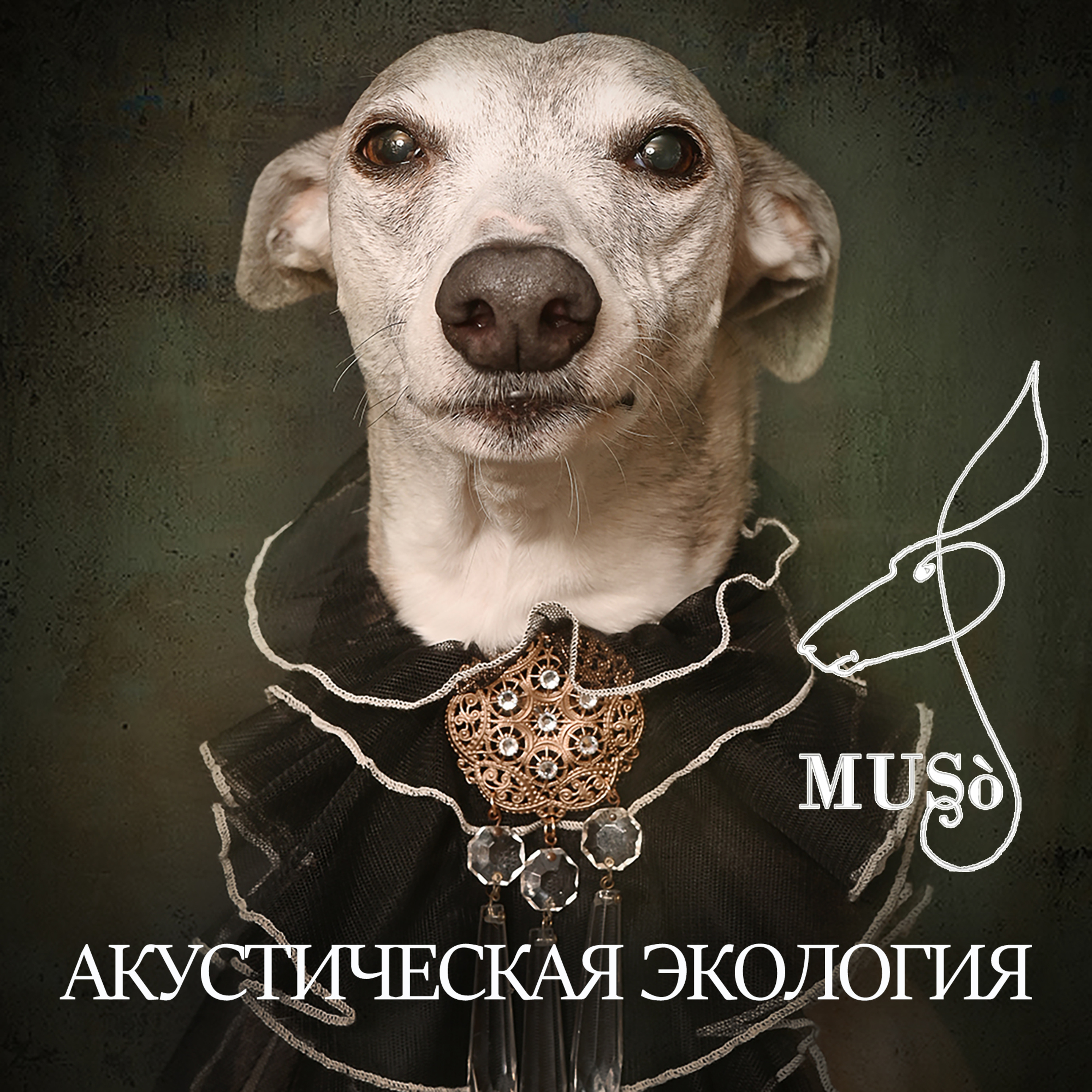 Акустическая экология episode artwork