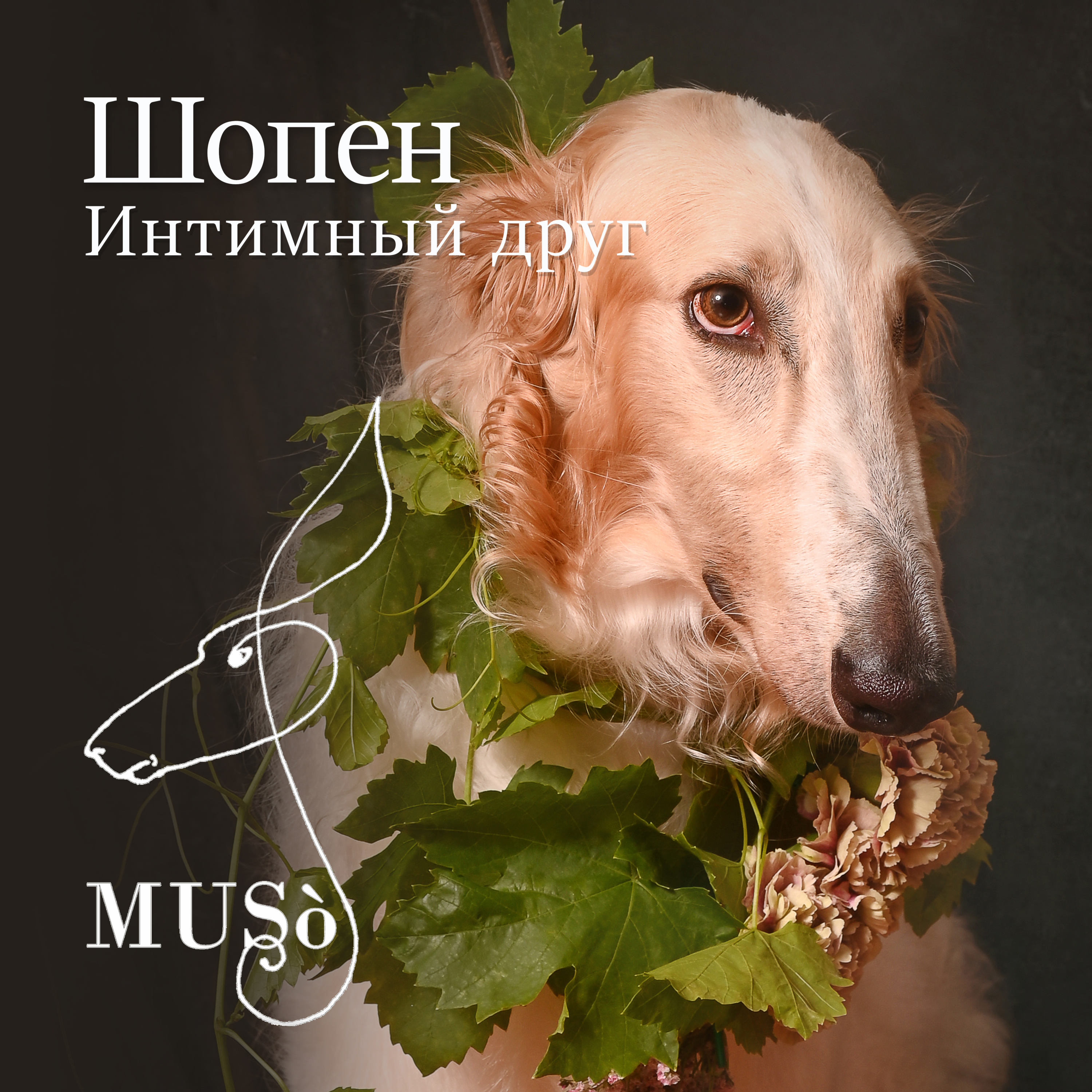 Шопен. Интимный друг. episode artwork