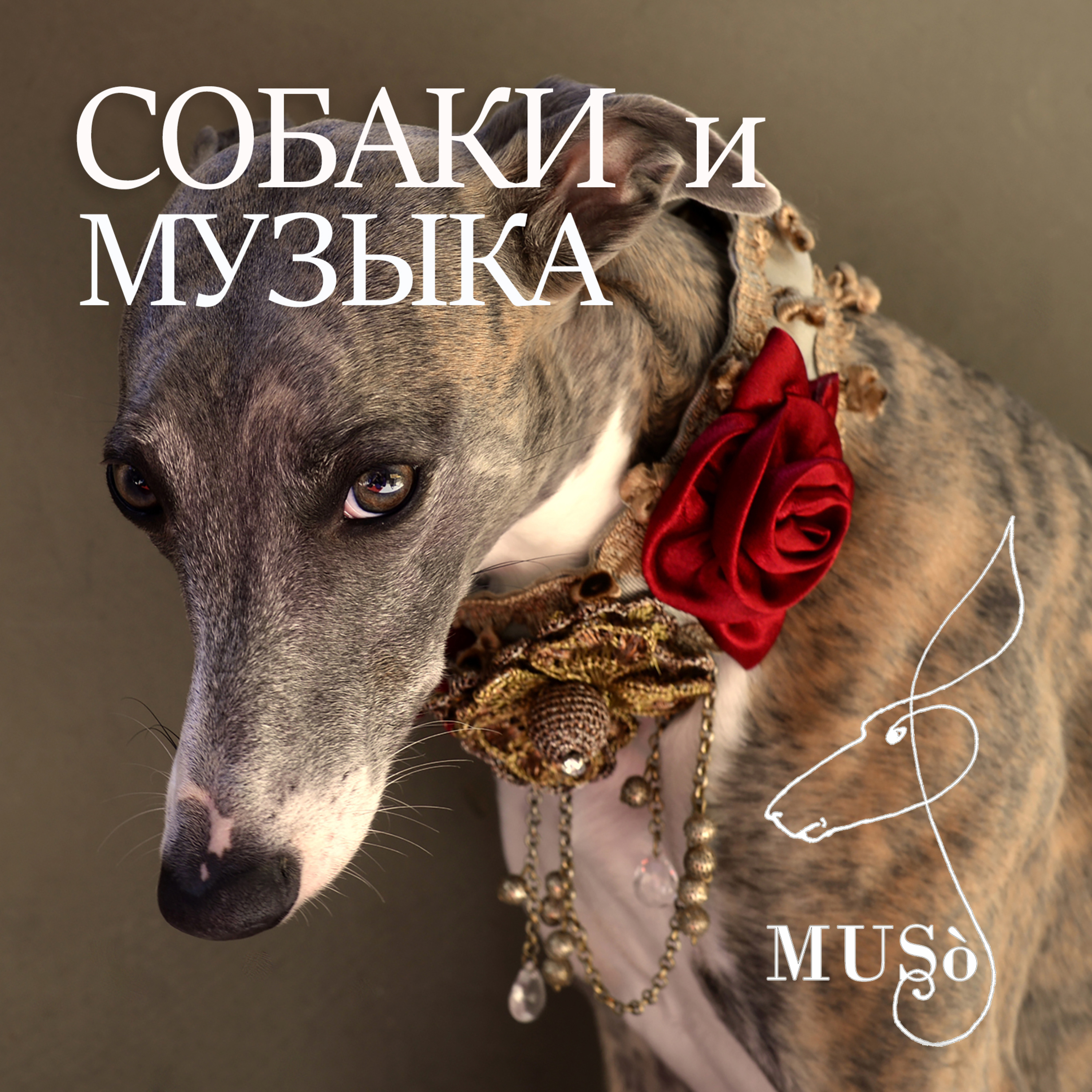 Собаки и музыка episode artwork