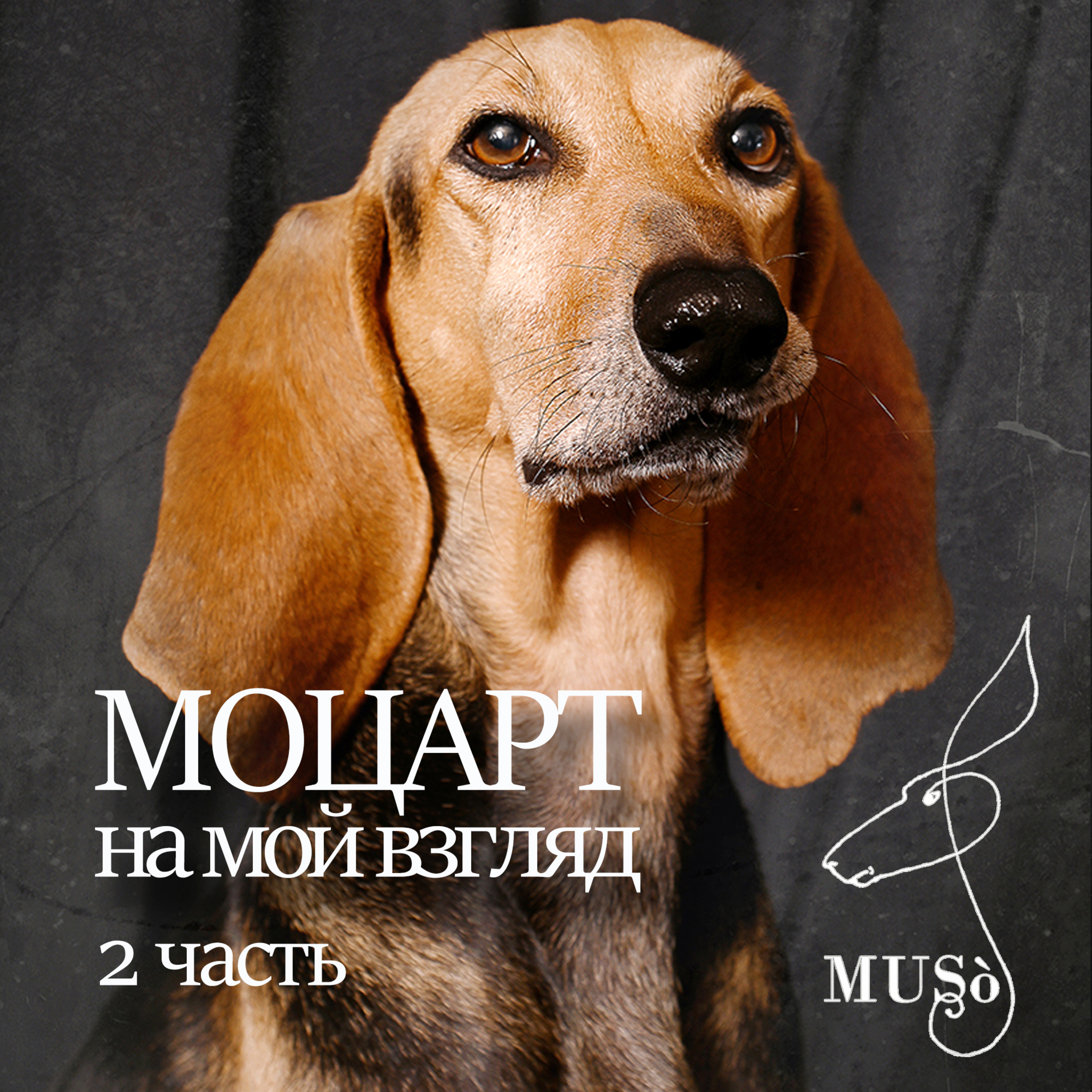 Музо_Подкаст