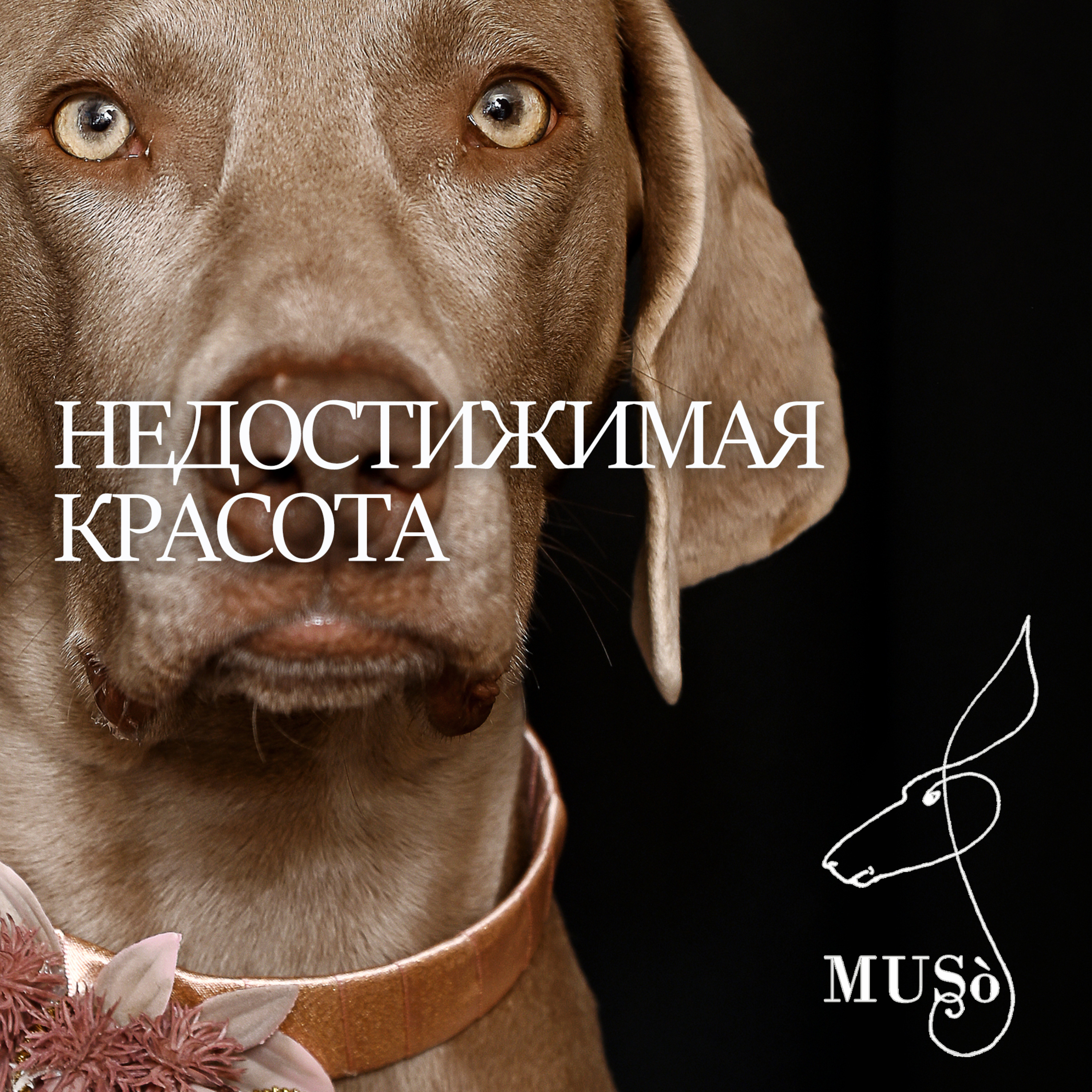 Музо_Подкаст