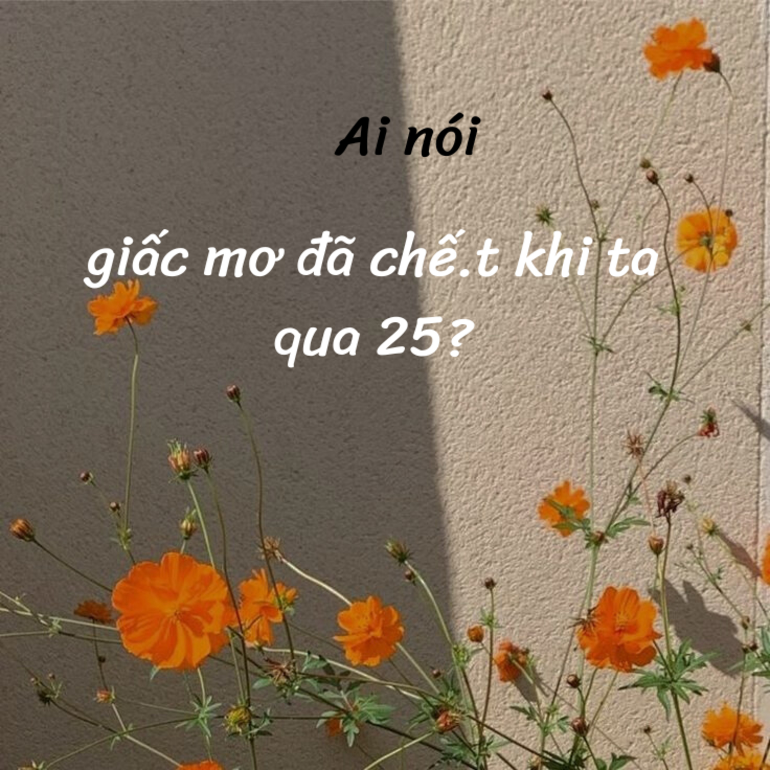 #13: Ai nói giấc mơ đã chết khi ta qua 25? episode artwork