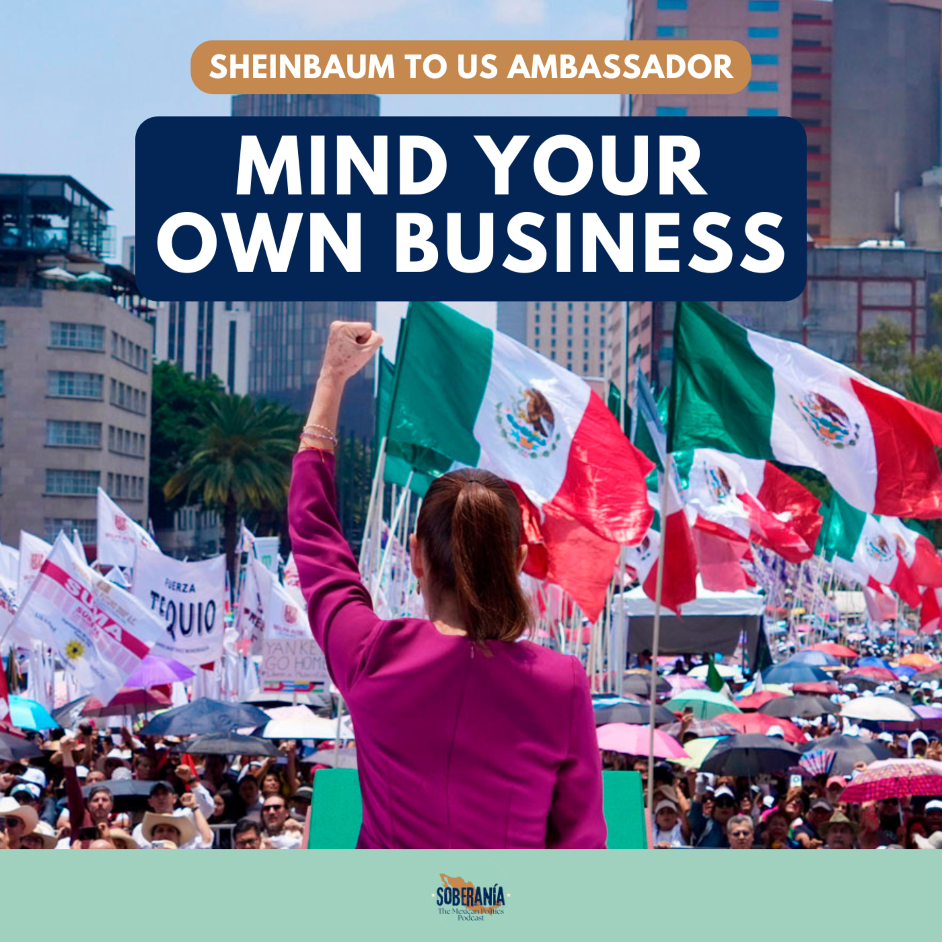 Sheinbaum to US Ambassador: Mind Your Own Business episode artwork