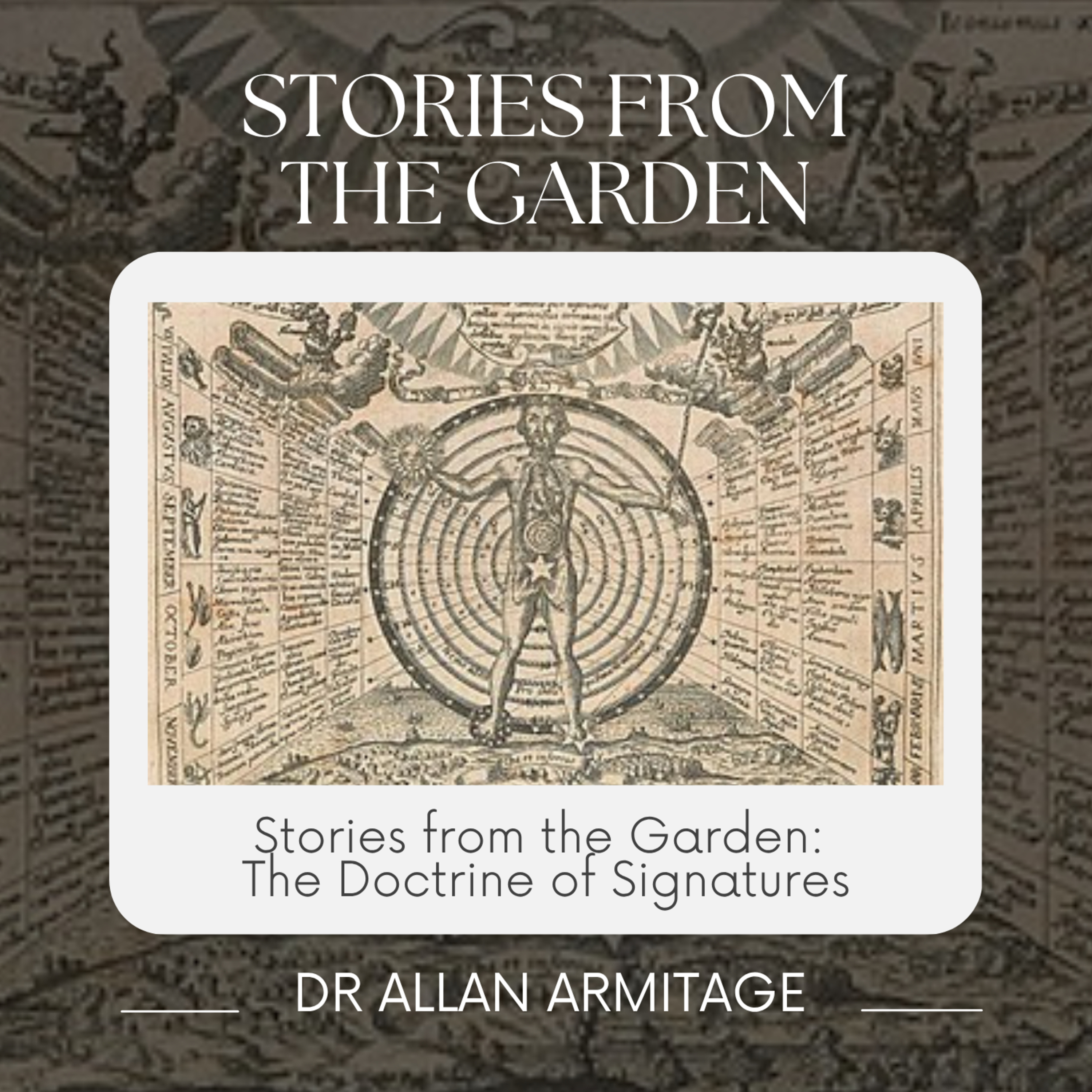 Stories from the Garden: The Doctrine of Signatures