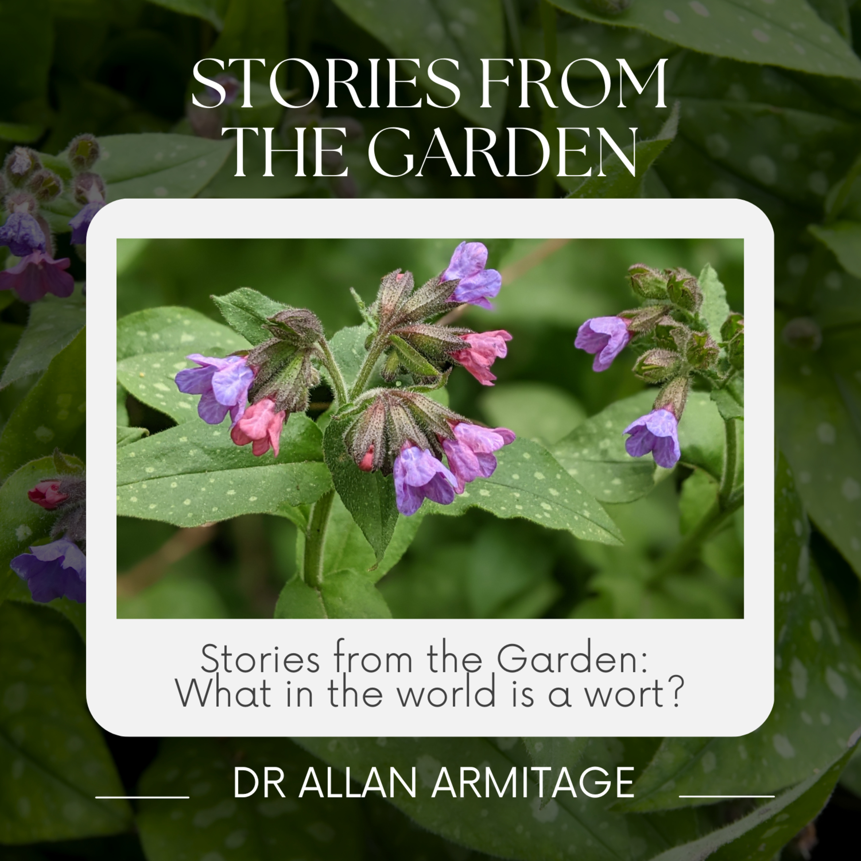 Stories from the Garden: What in the world is a wort?