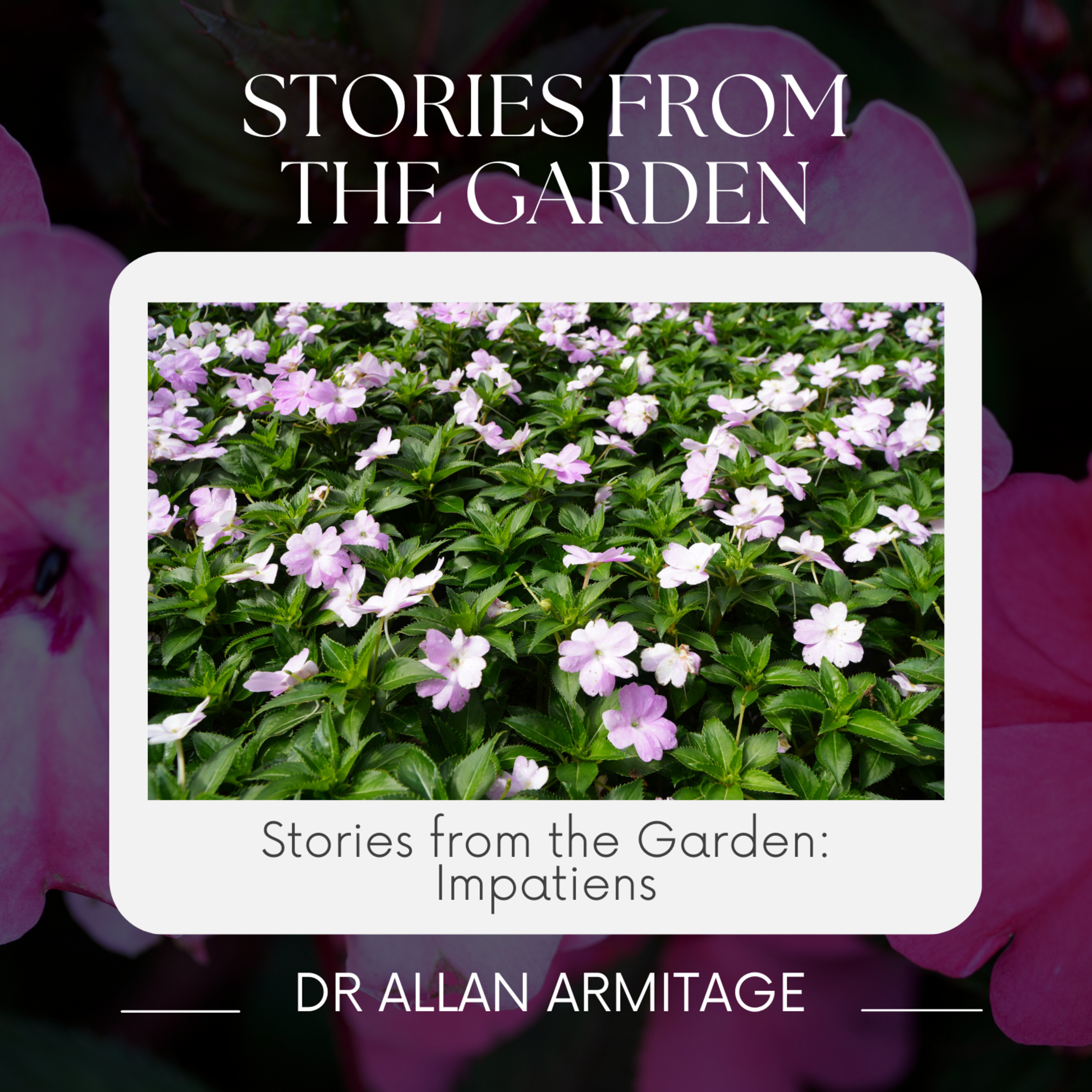 Stories from the Garden-Impatiens episode artwork