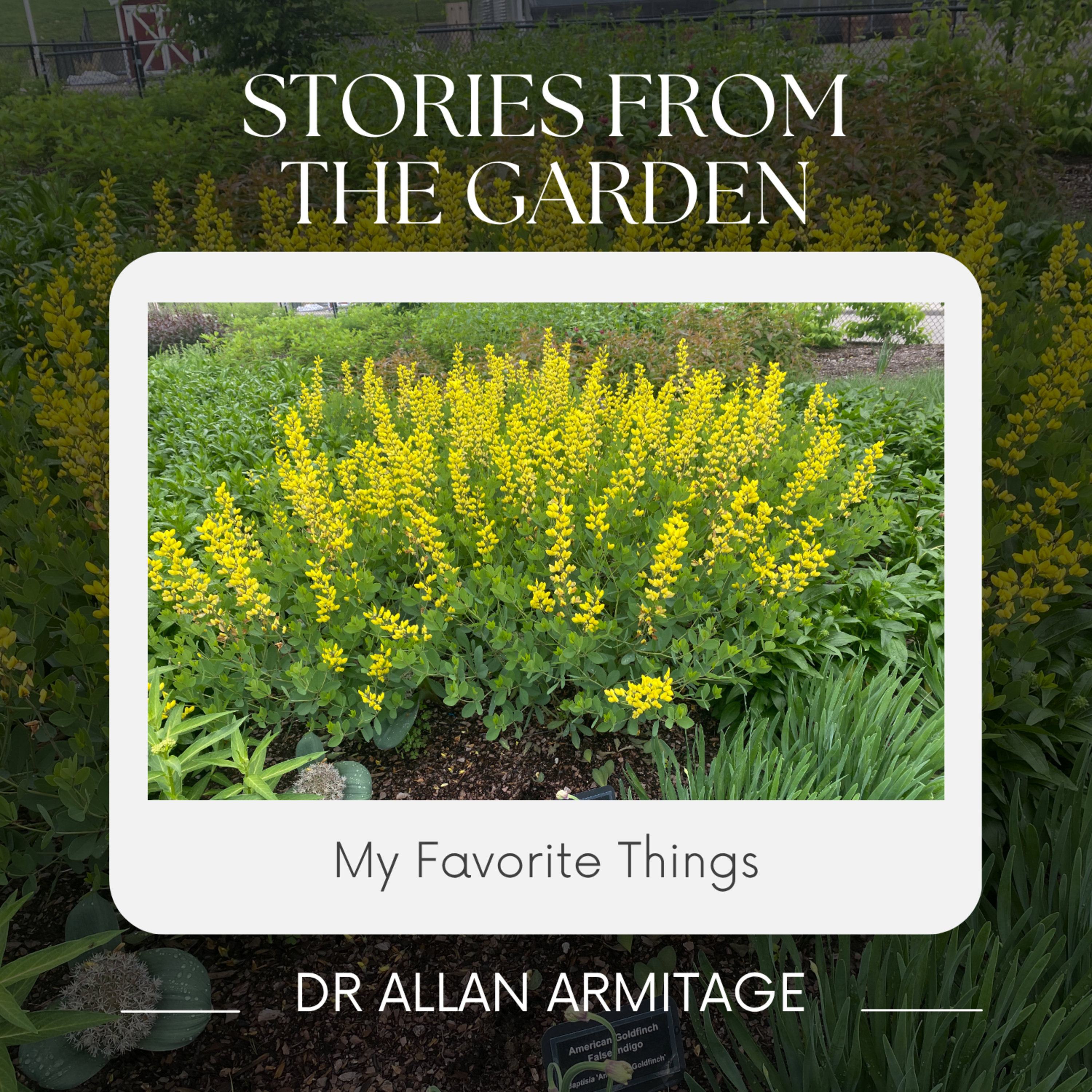 Stories from the Garden, A few of my favorites things episode artwork