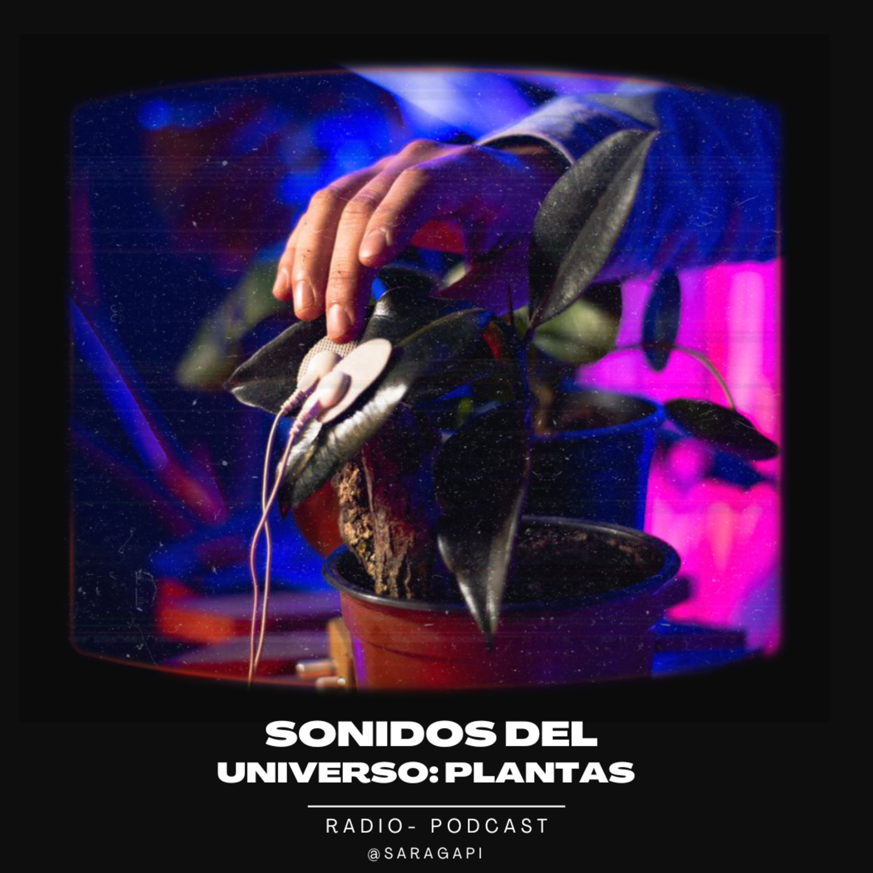 Arte Sonoro