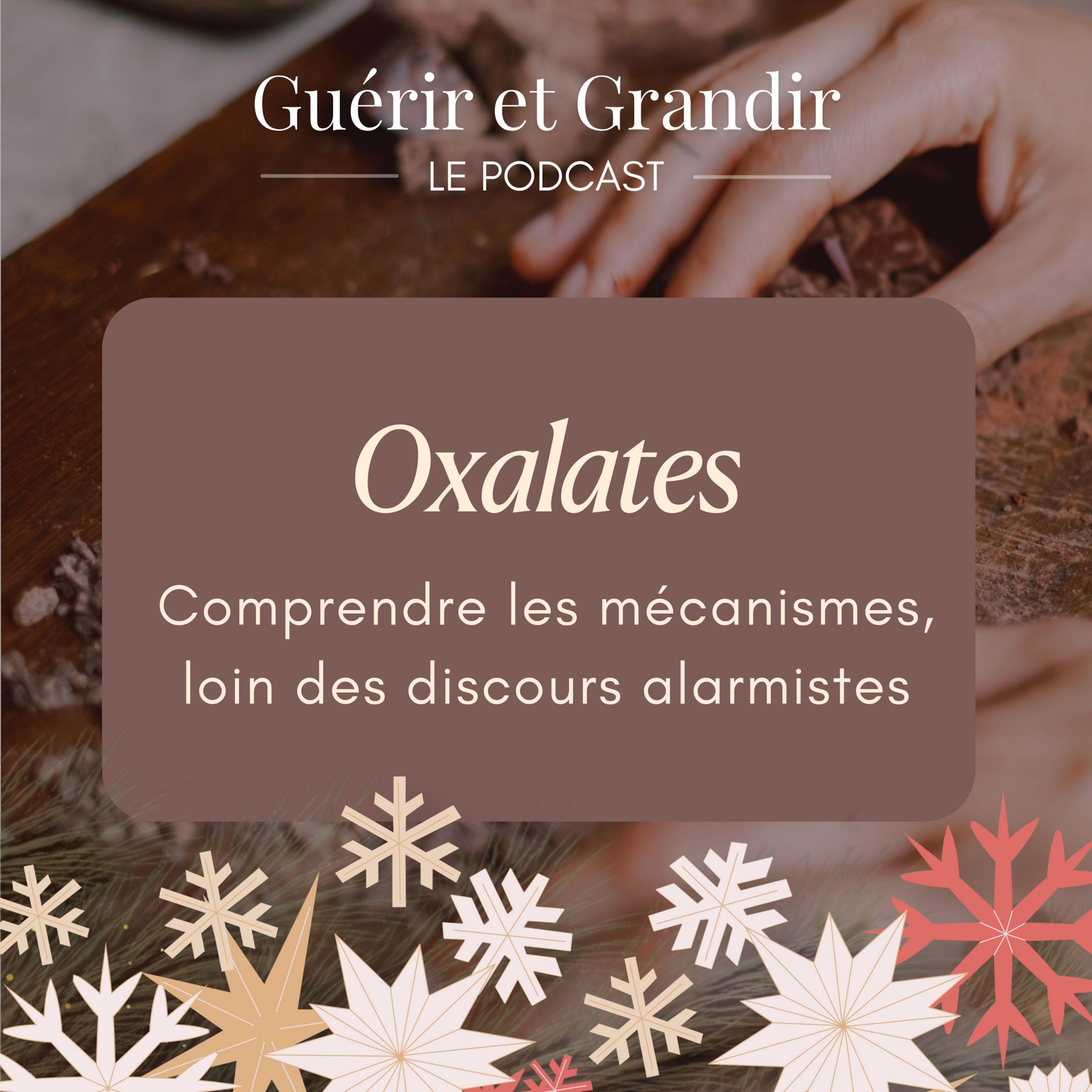 Oxalates : comprendre les mécanismes loin des discours alarmistes