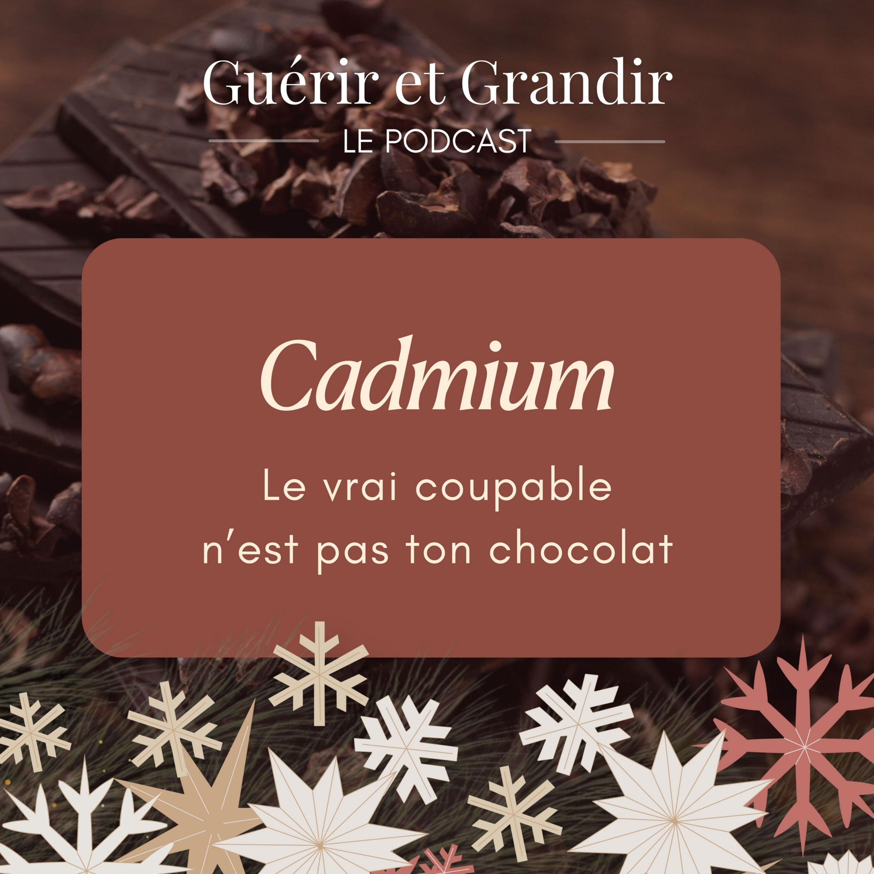 Cadmium : le vrai coupable n’est pas ton chocolat