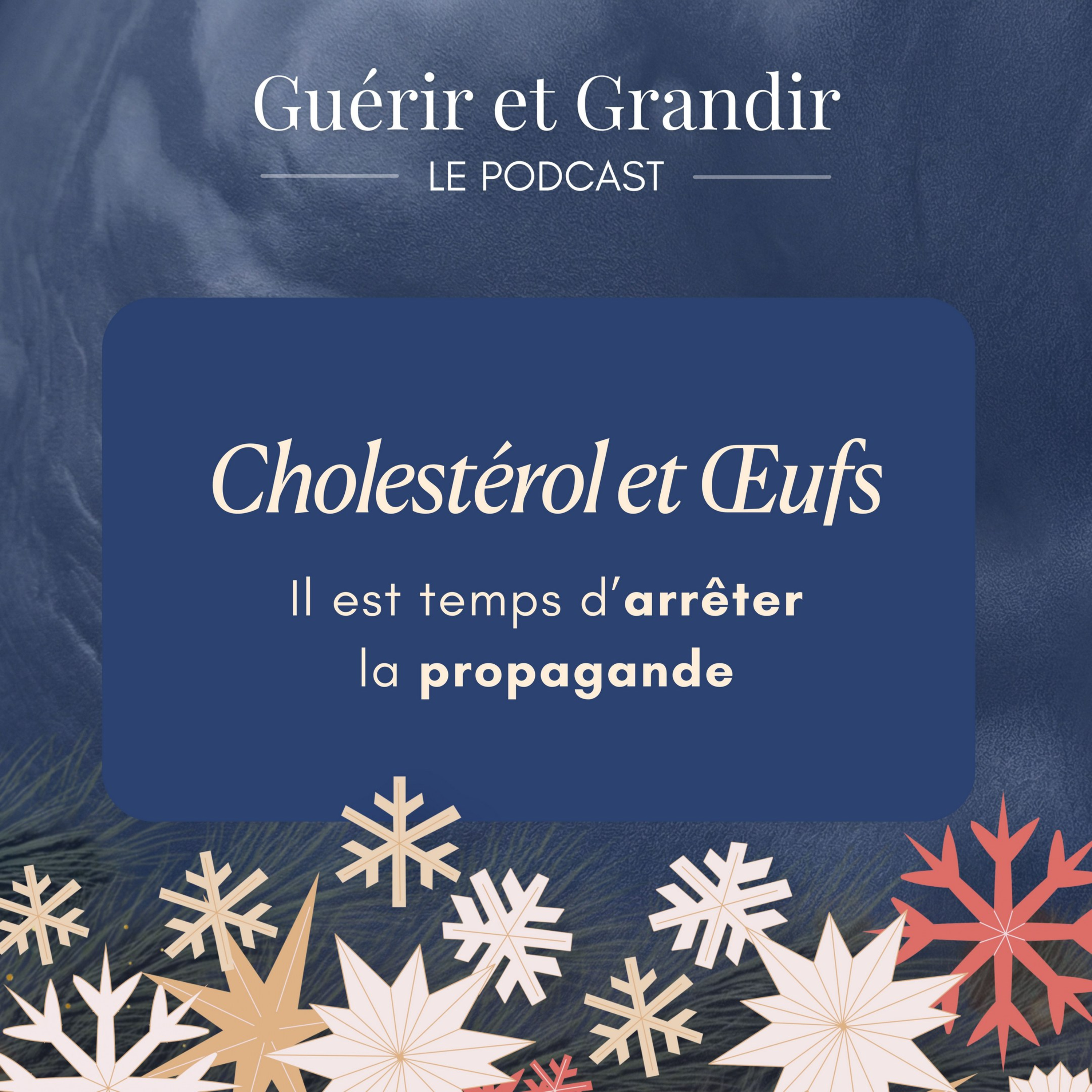 Cholestérol et Œufs : il est temps d’arrêter la propagande