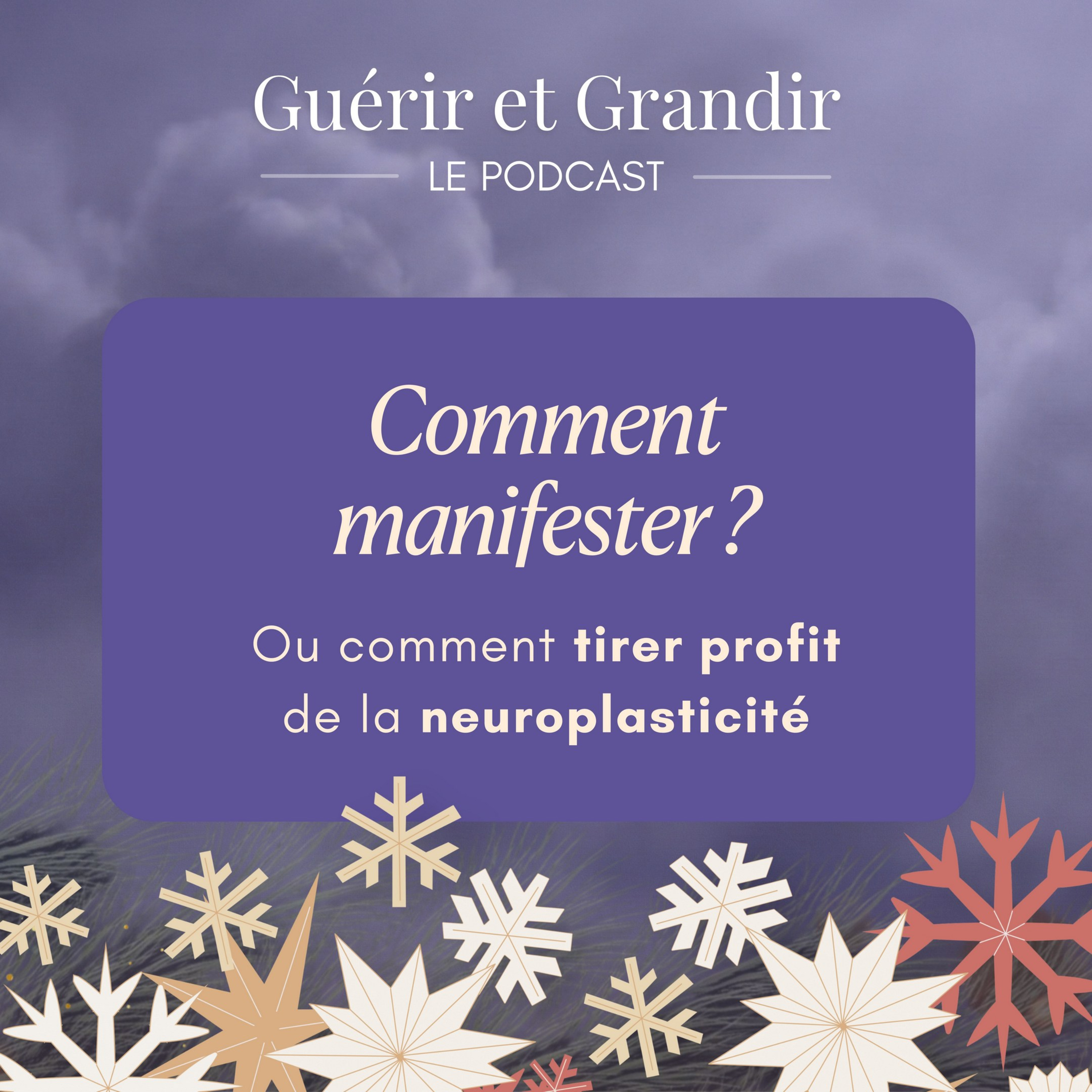Comment manifester ? Ou comment tirer profit de la neuroplasticité