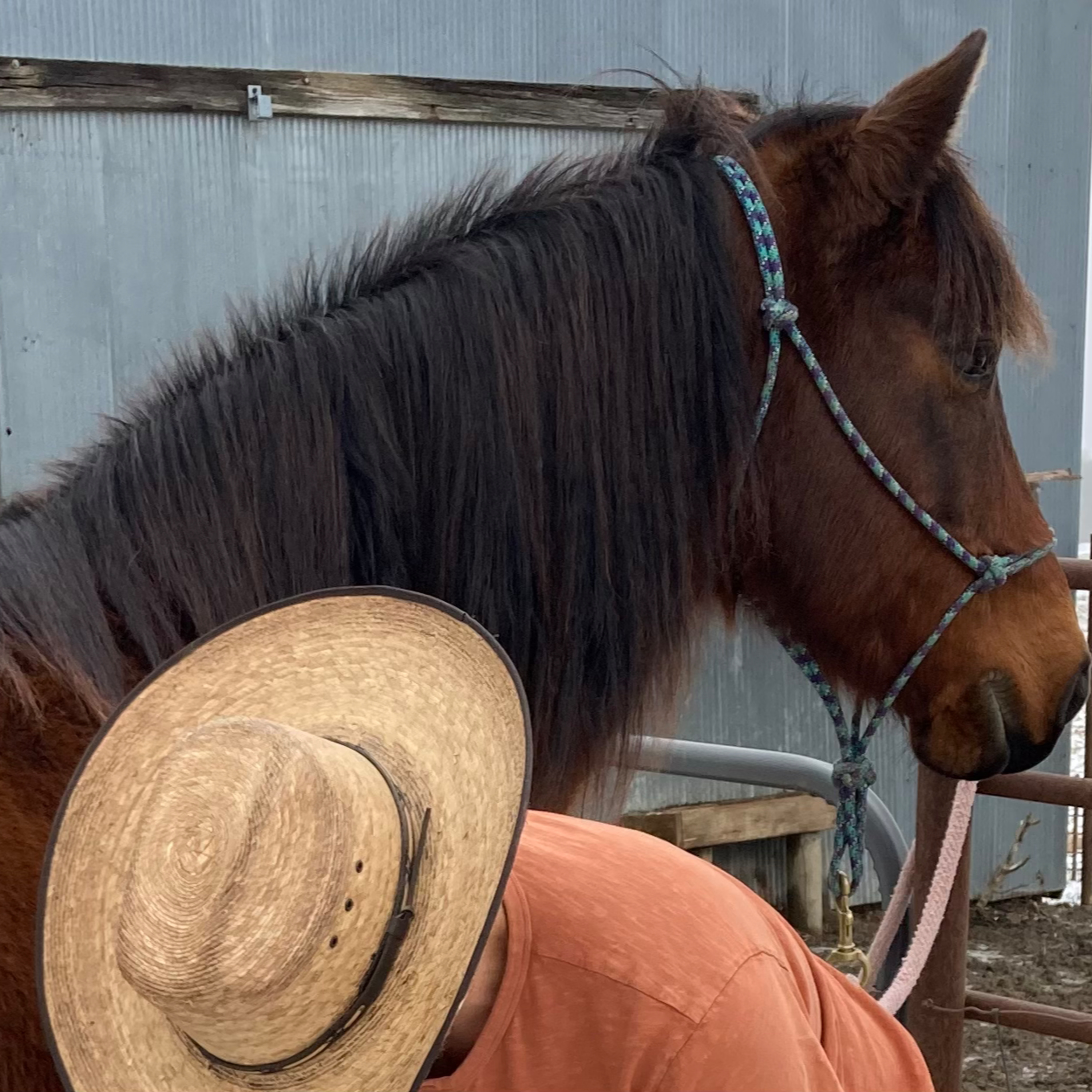 Sacred Heart Homestead