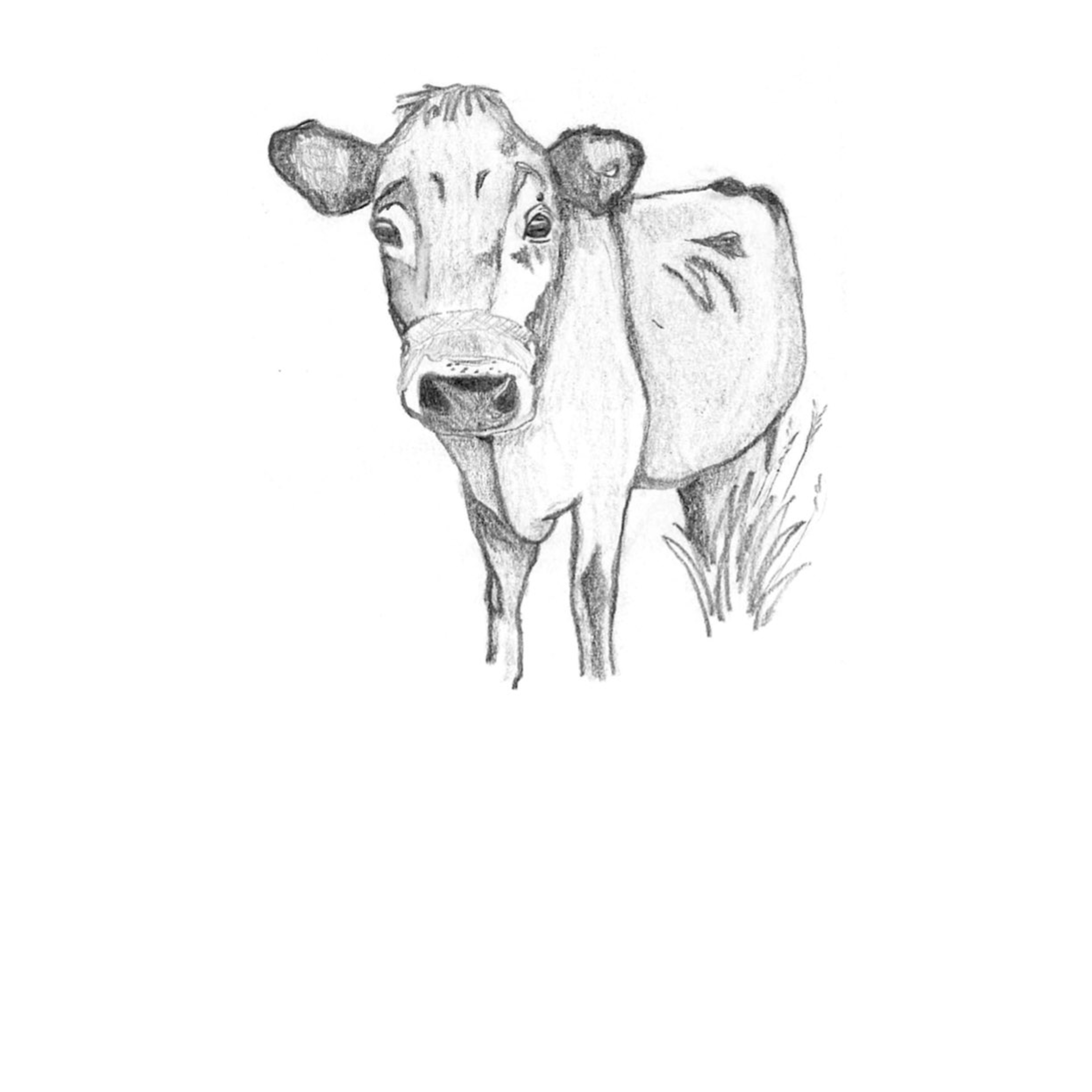 Sacred Heart Homestead