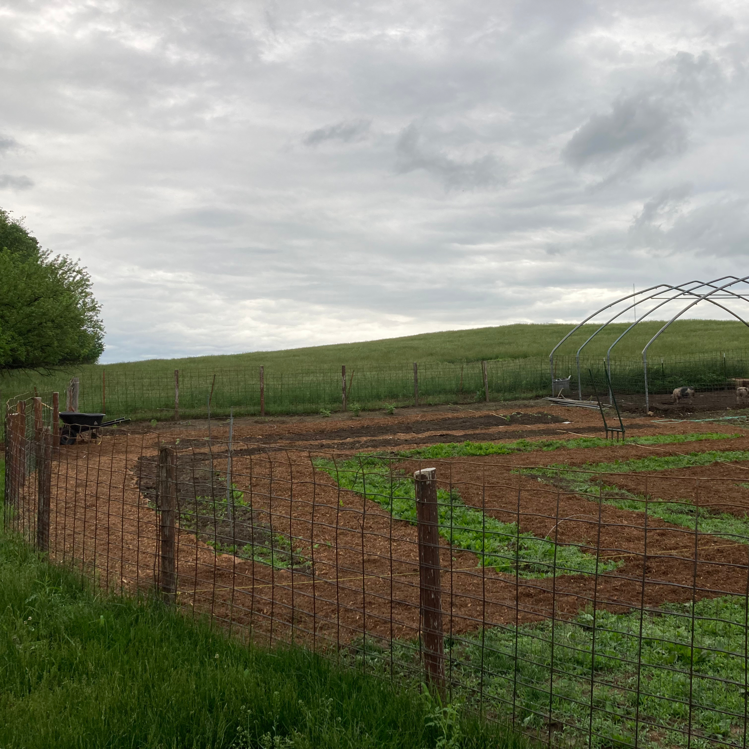 Sacred Heart Homestead
