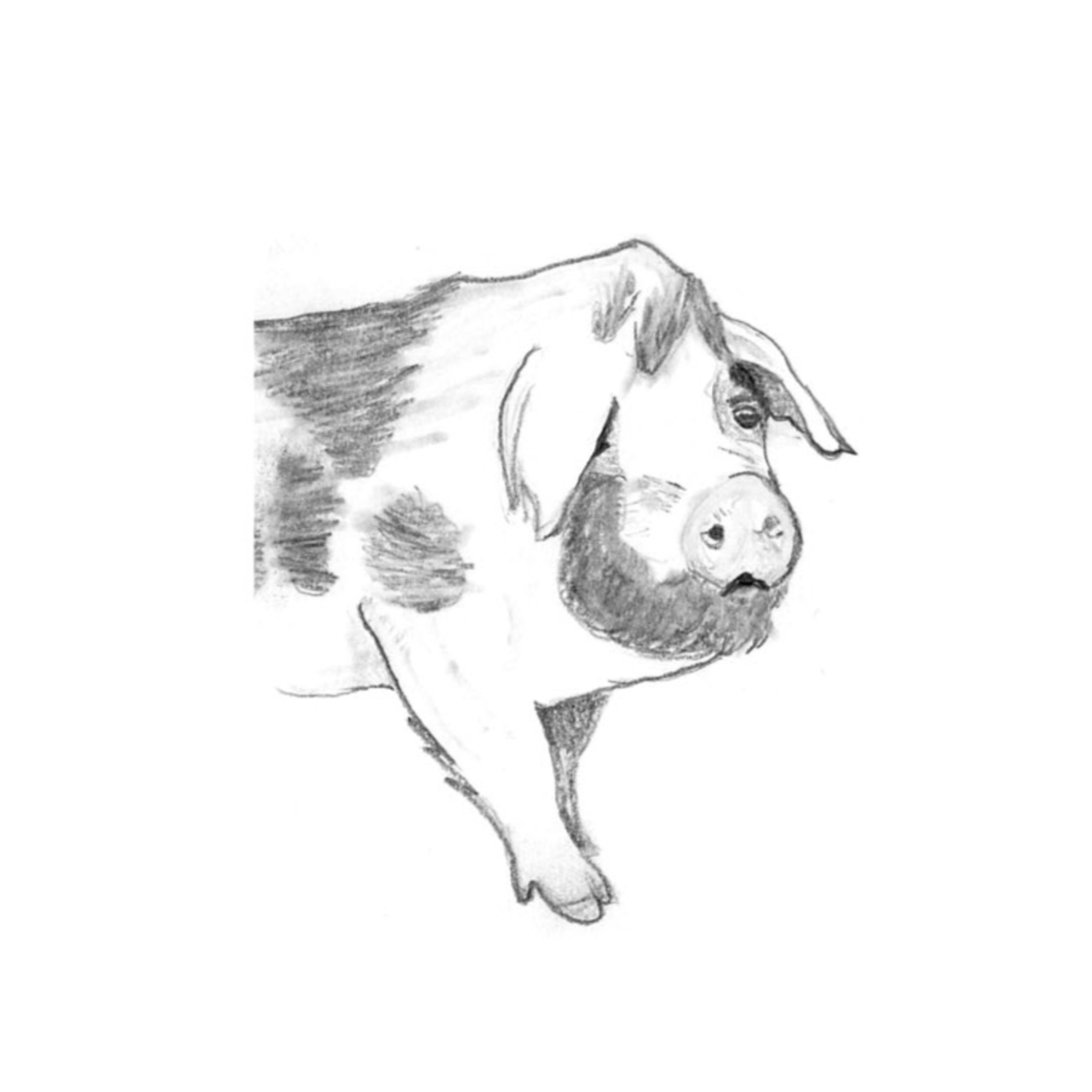 Sacred Heart Homestead