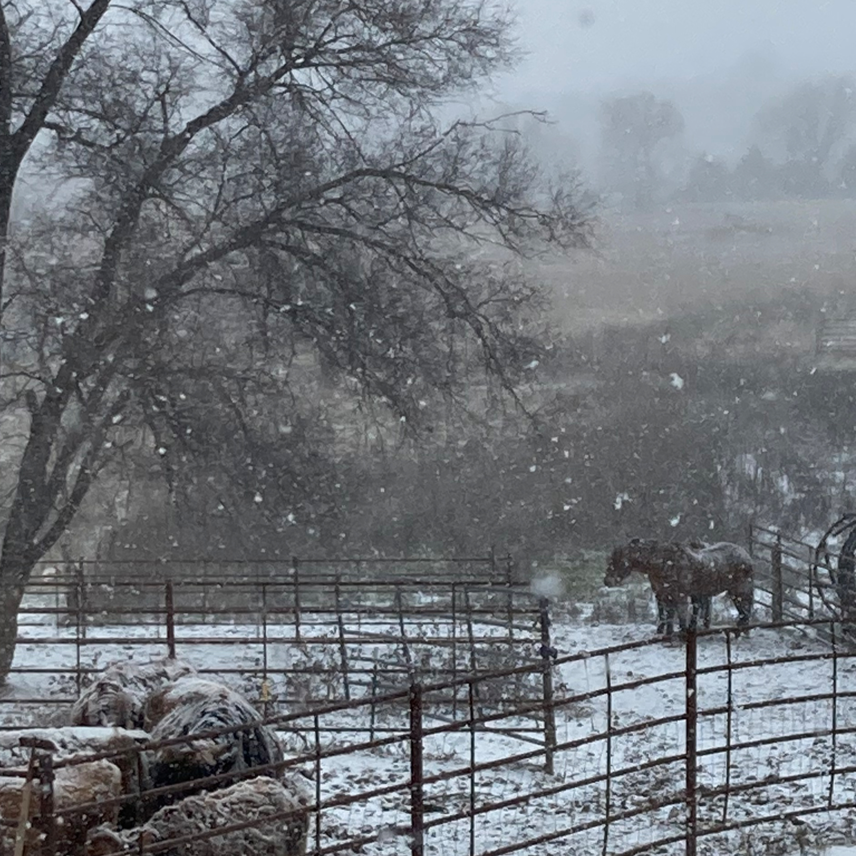 Sacred Heart Homestead