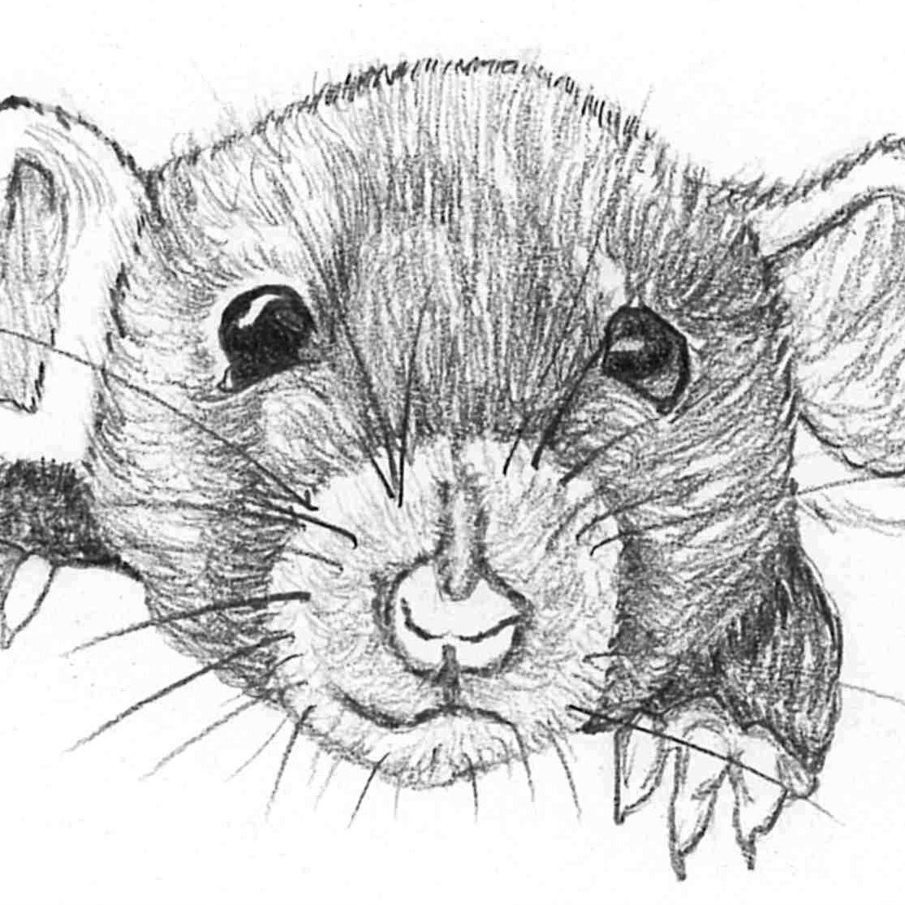 Sacred Heart Homestead