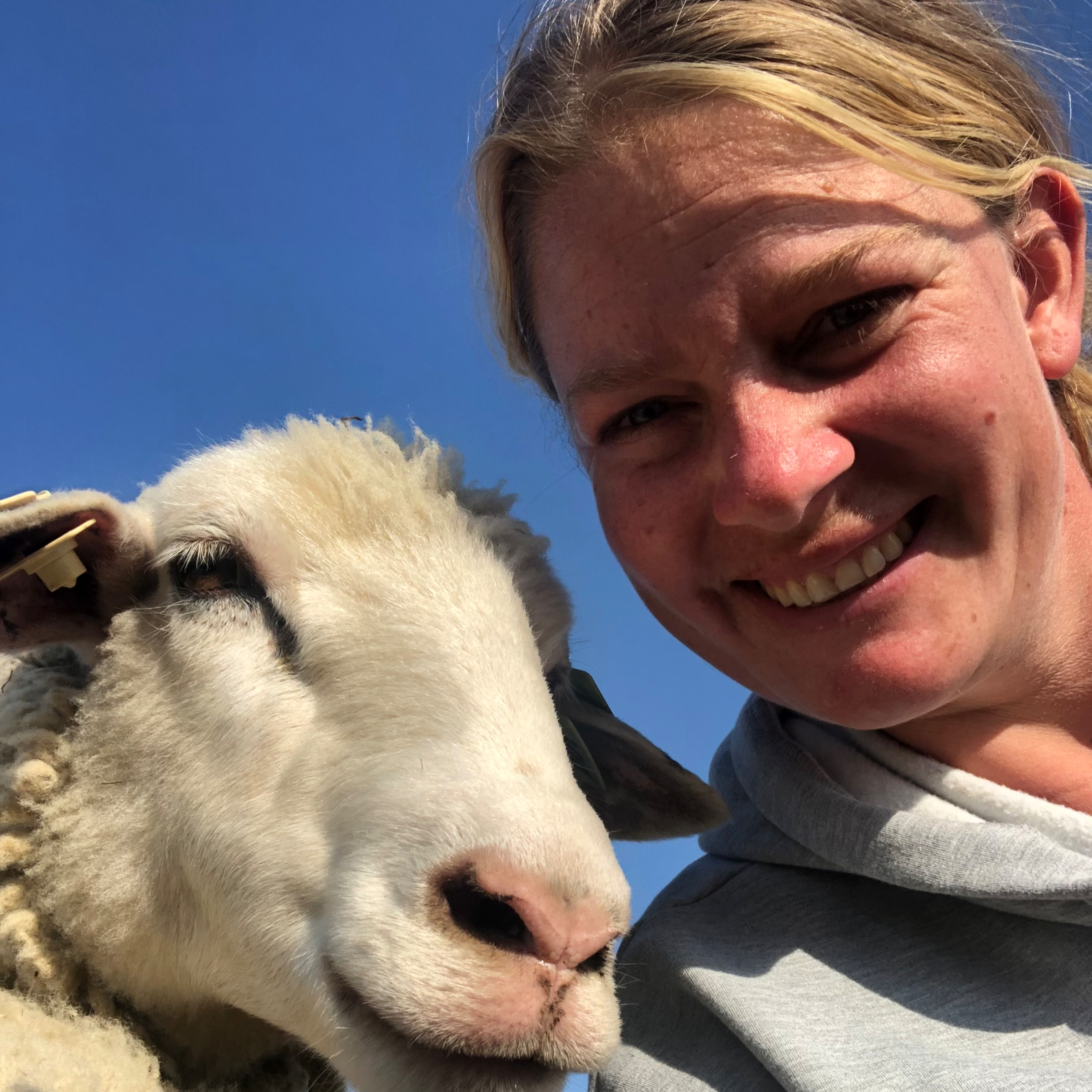 Sacred Heart Homestead