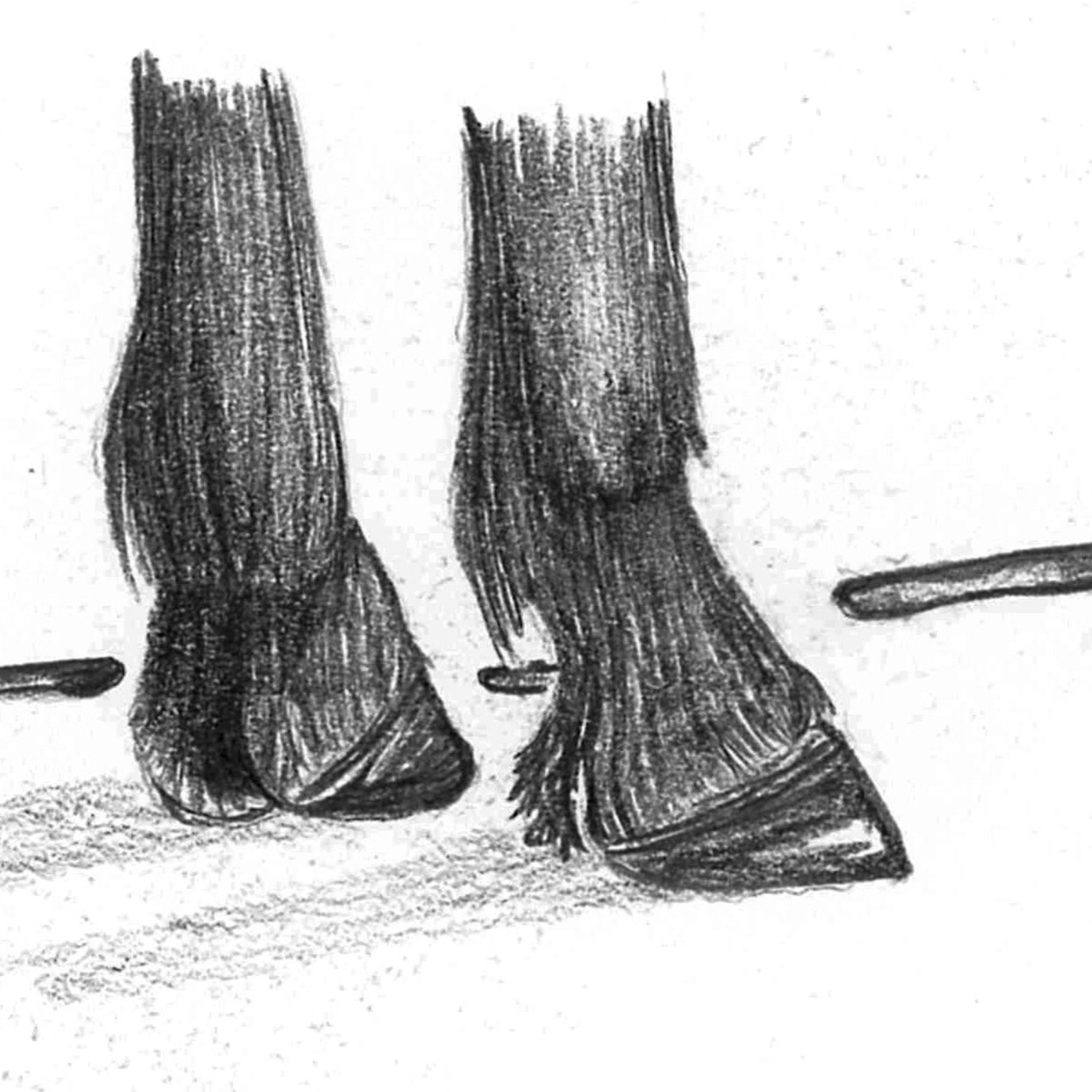 Sacred Heart Homestead