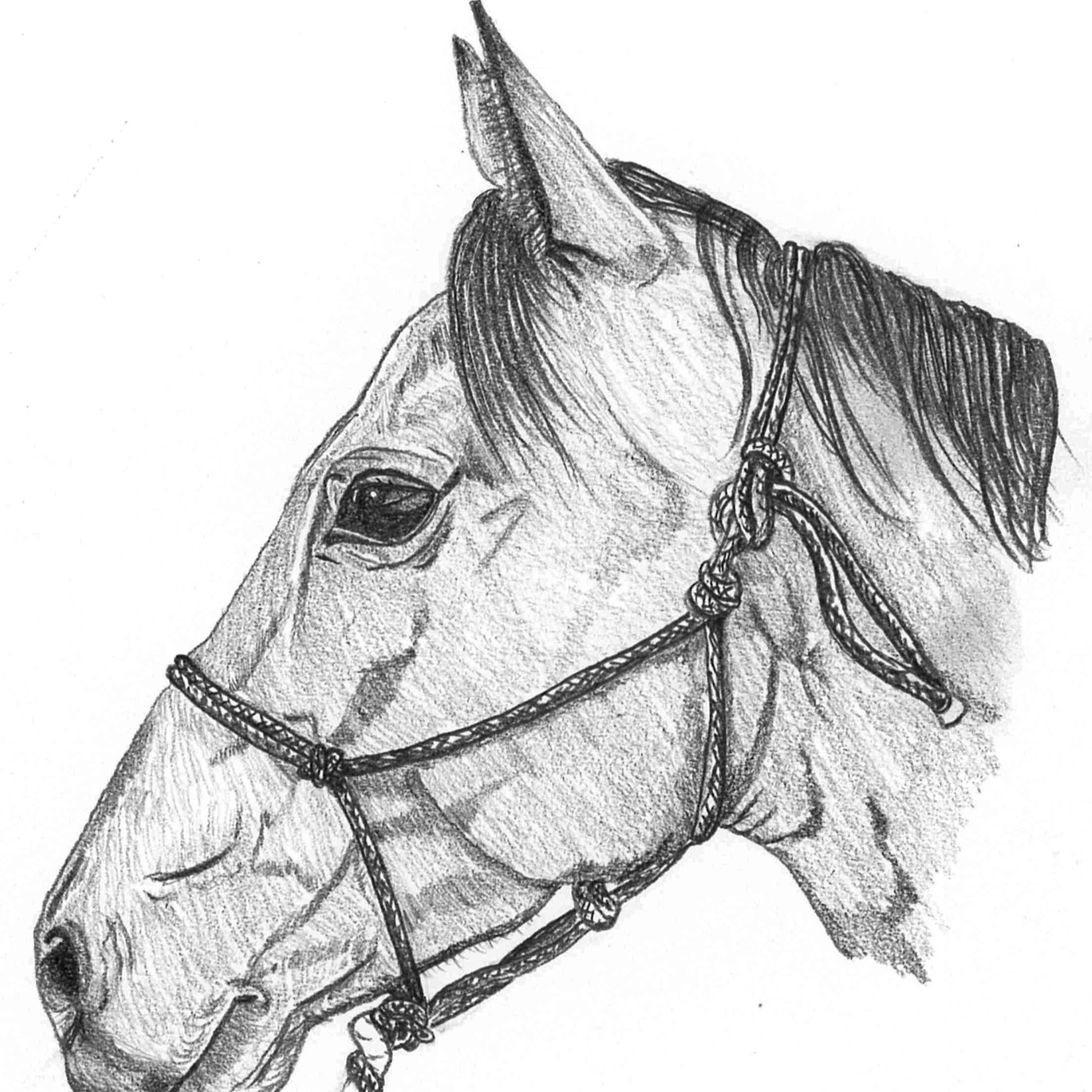 Sacred Heart Homestead