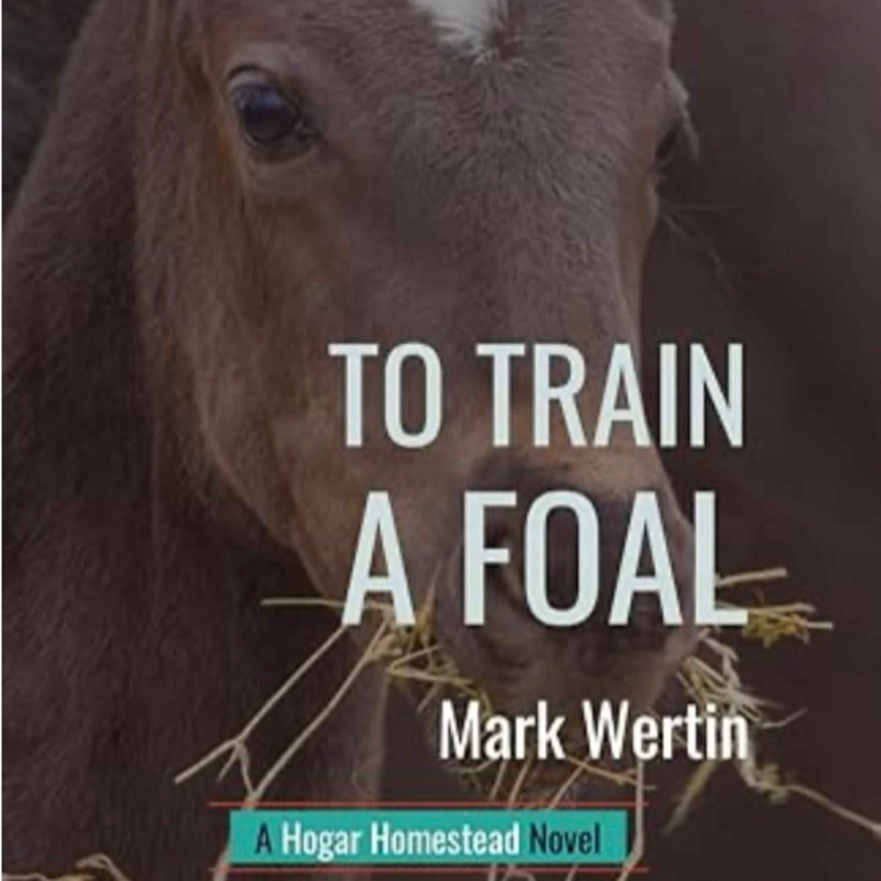 #67: To Train A Foal Recap! episode artwork