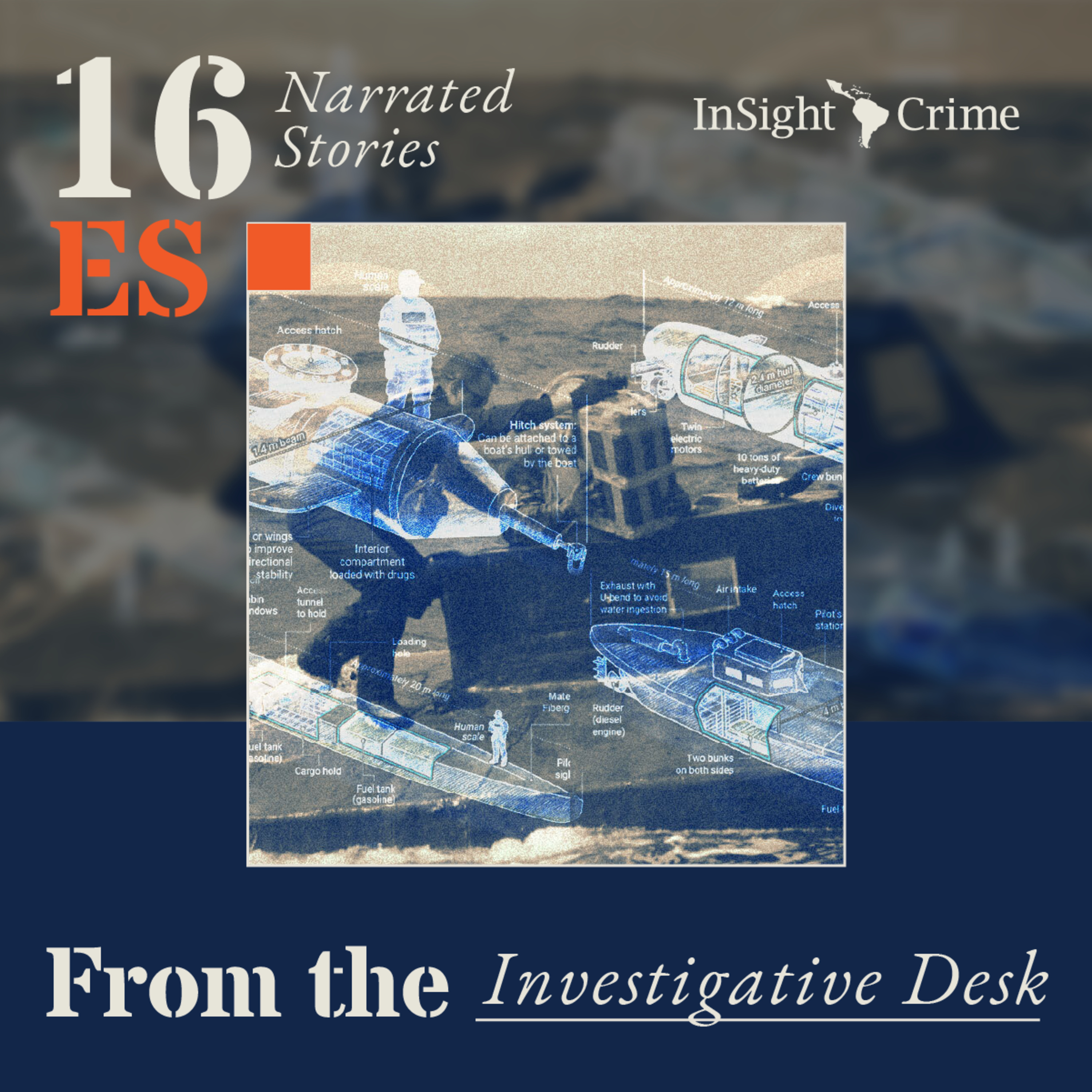 InSight Crime