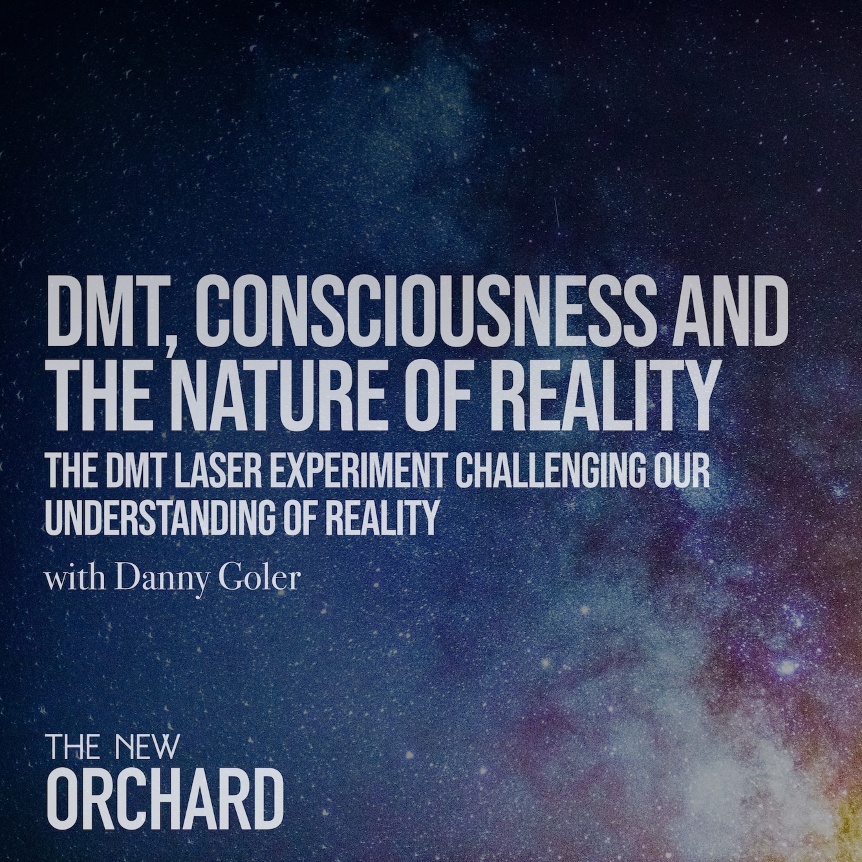 DMT, Consciousness and the Nature of Reality with Danny Goler episode artwork