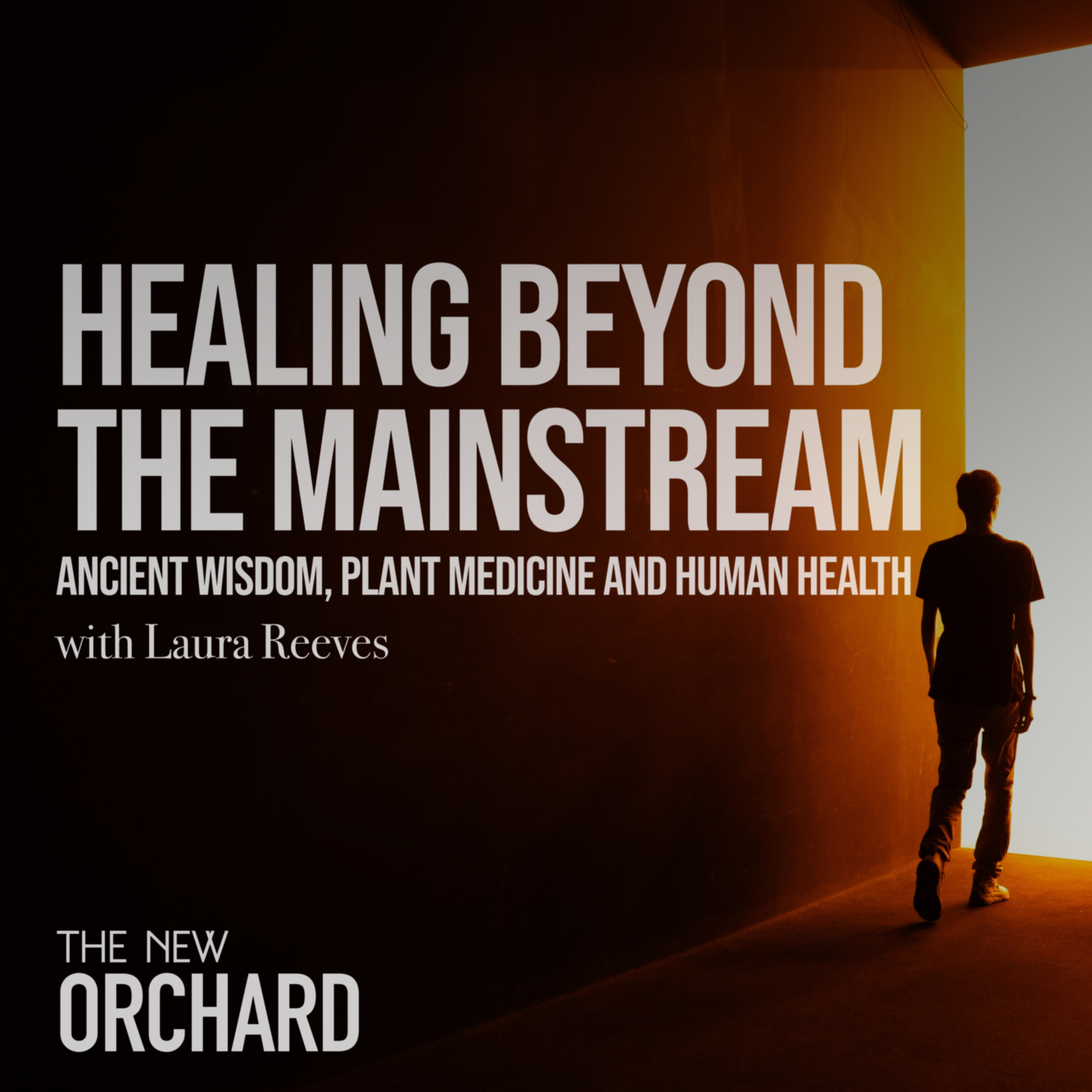 Healing Beyond the Mainstream with Laura Reeves  episode artwork