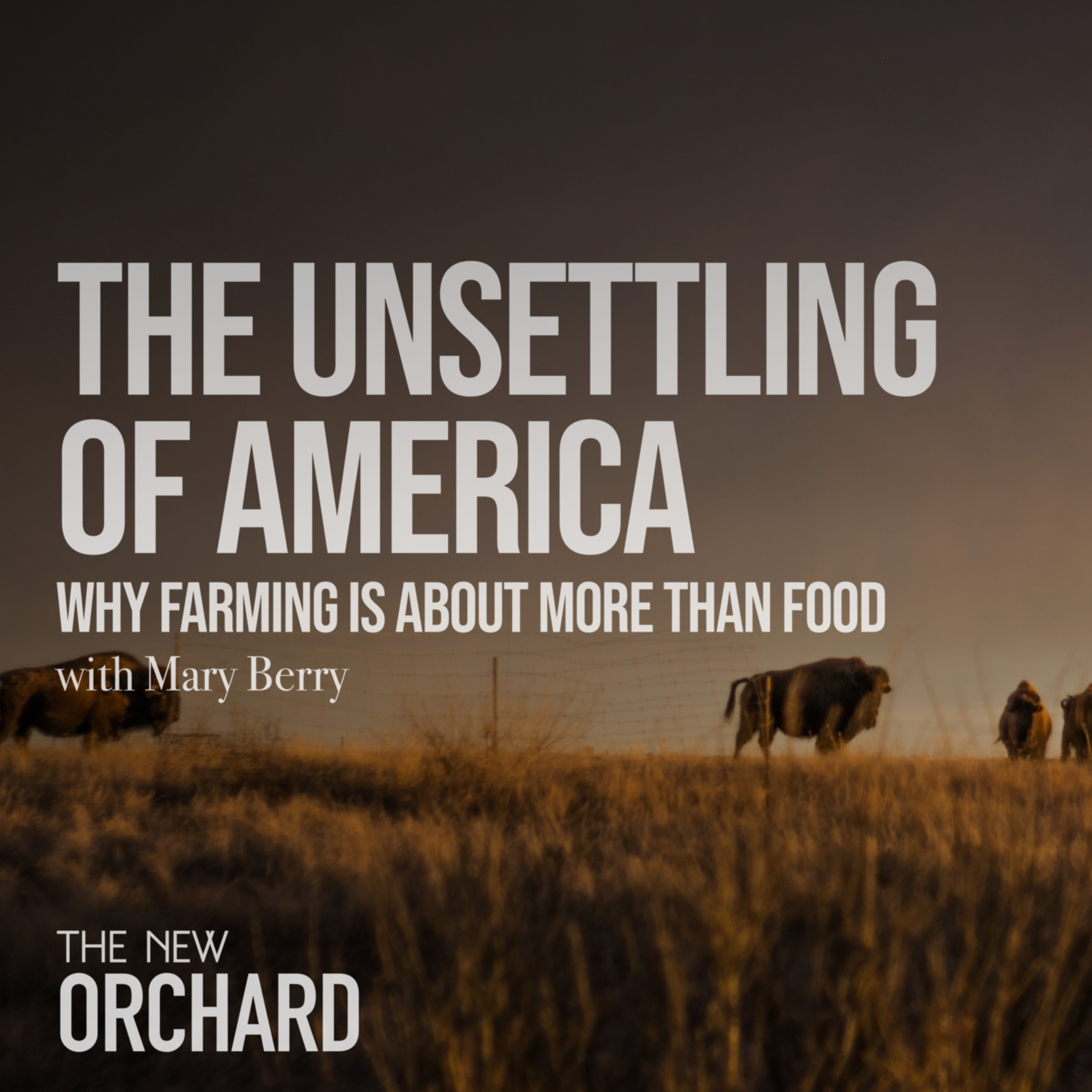 The Unsettling of America with Mary Berry episode artwork