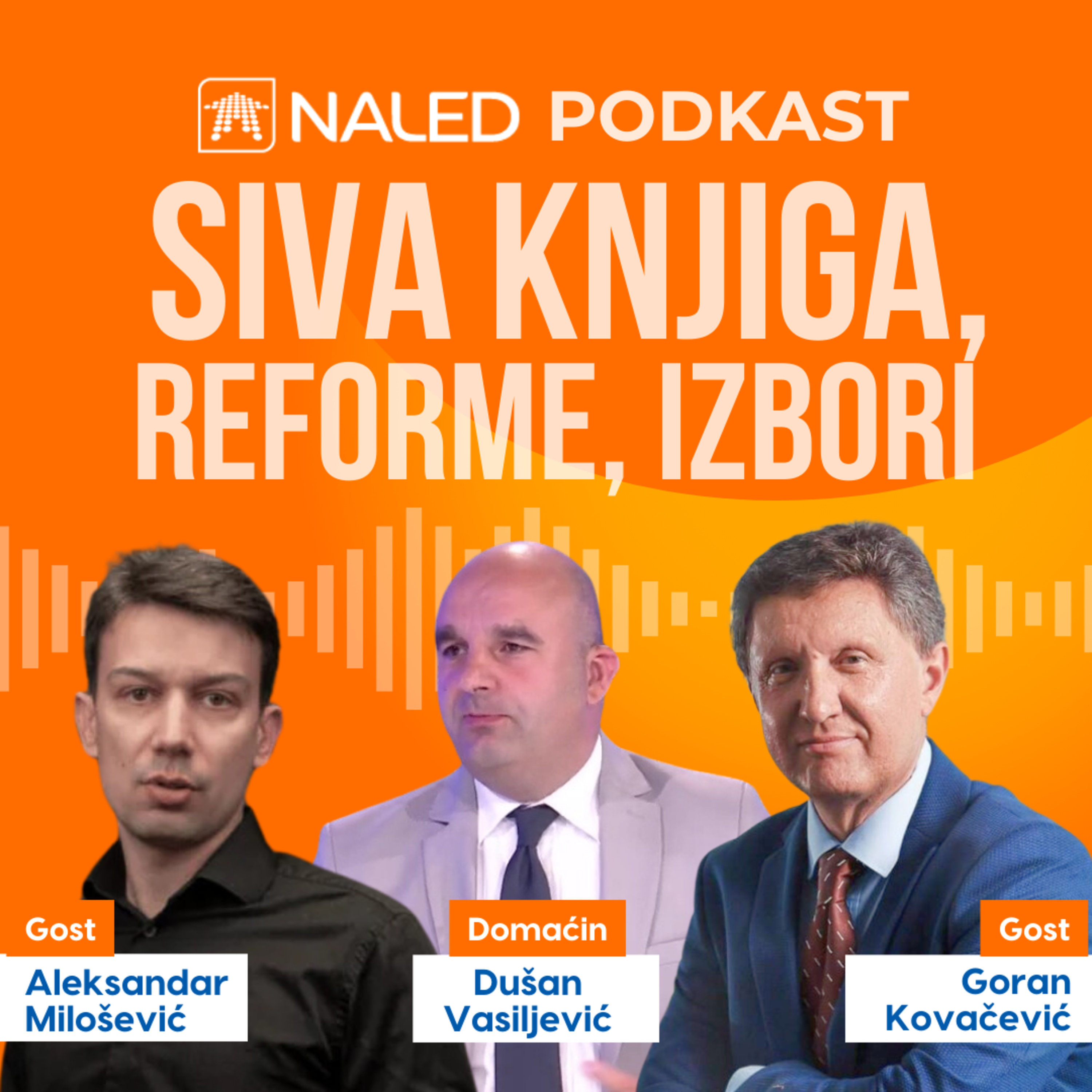 Goran Kovačević i Aleksandar Milošević - Siva knjiga, reforme, izbori