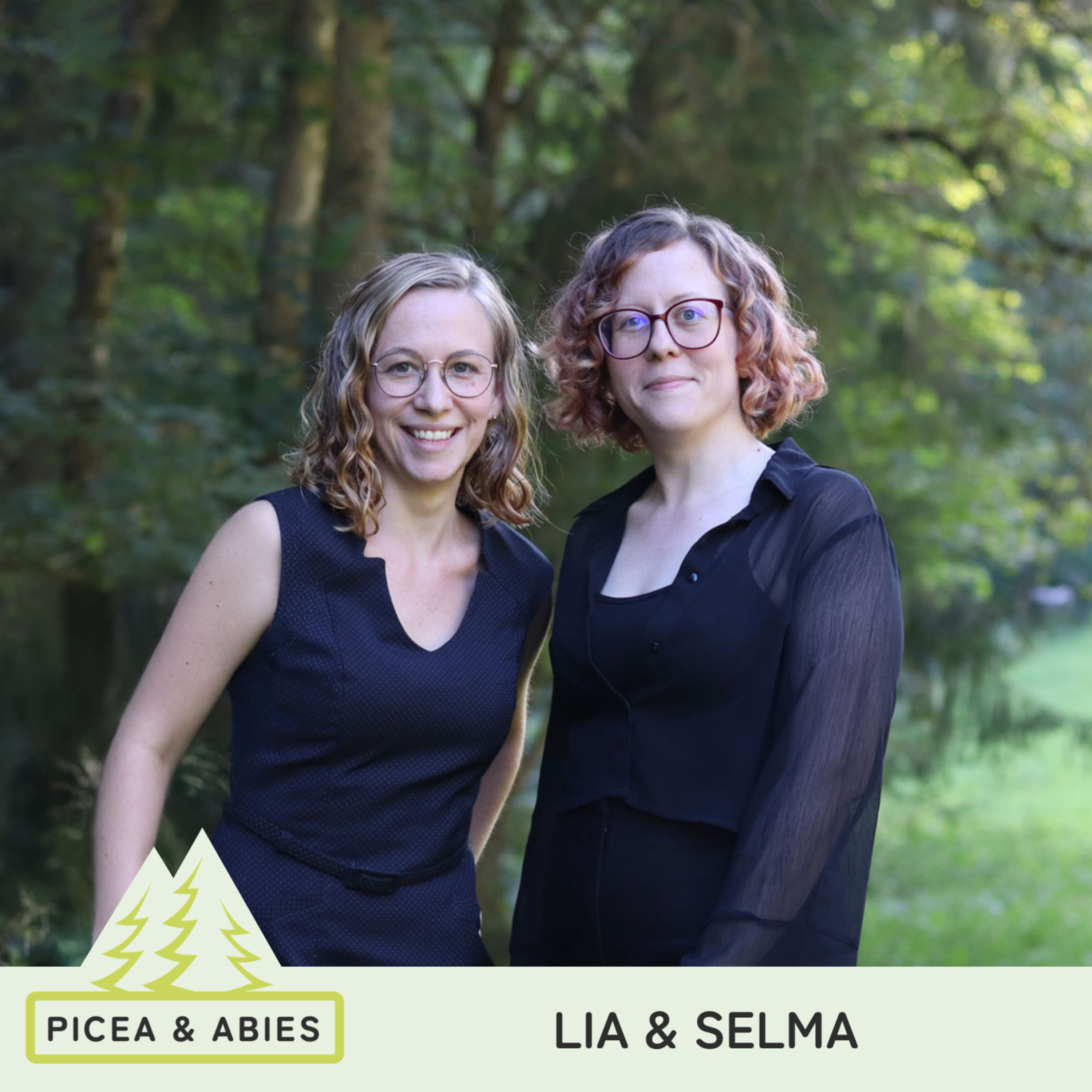 Picea und Abies