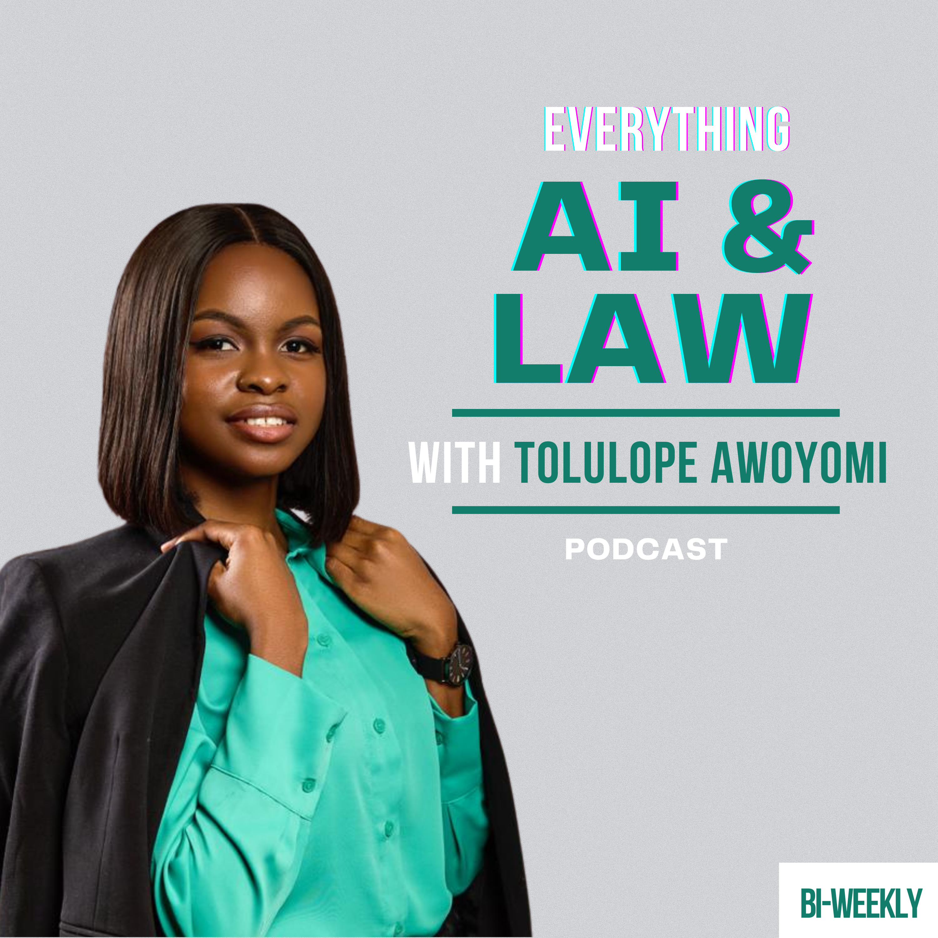 Everything AI & Law
